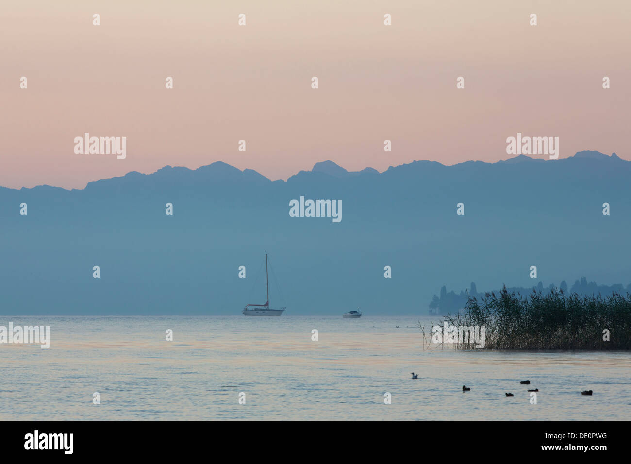 Early morning mood in the port of Guettingen, Lake Constance, Switzerland, Europe, PublicGround Stock Photo