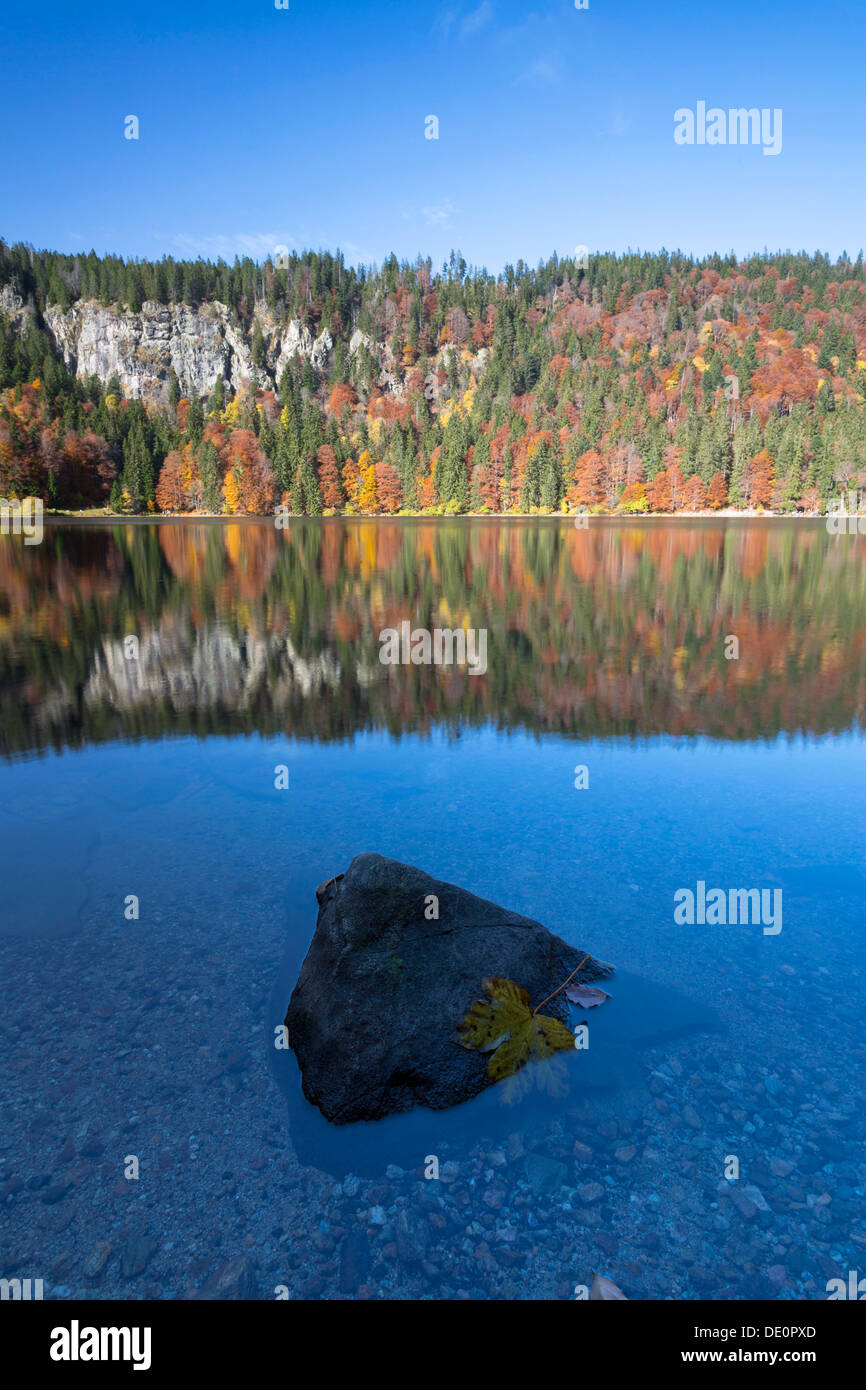 Autumnal forest at Feldsee Lake with reflections, near Mt Feldberg, Black Forest, Baden-Wuerttemberg Stock Photo