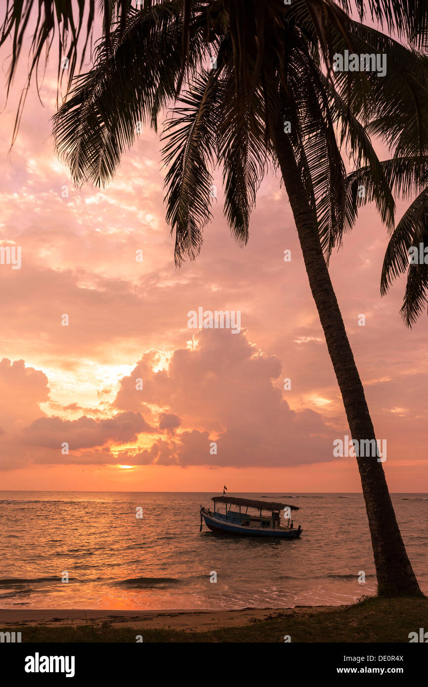 Beruwala beach hi-res stock photography and images - Alamy