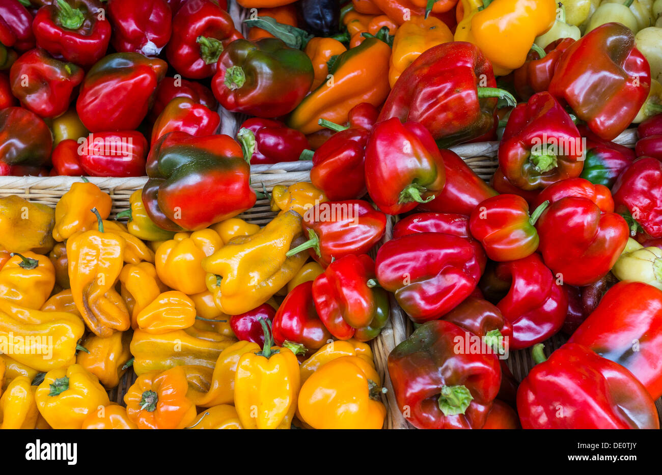 Yellow and red bell peppers at a farmers market Stock Photo - Alamy