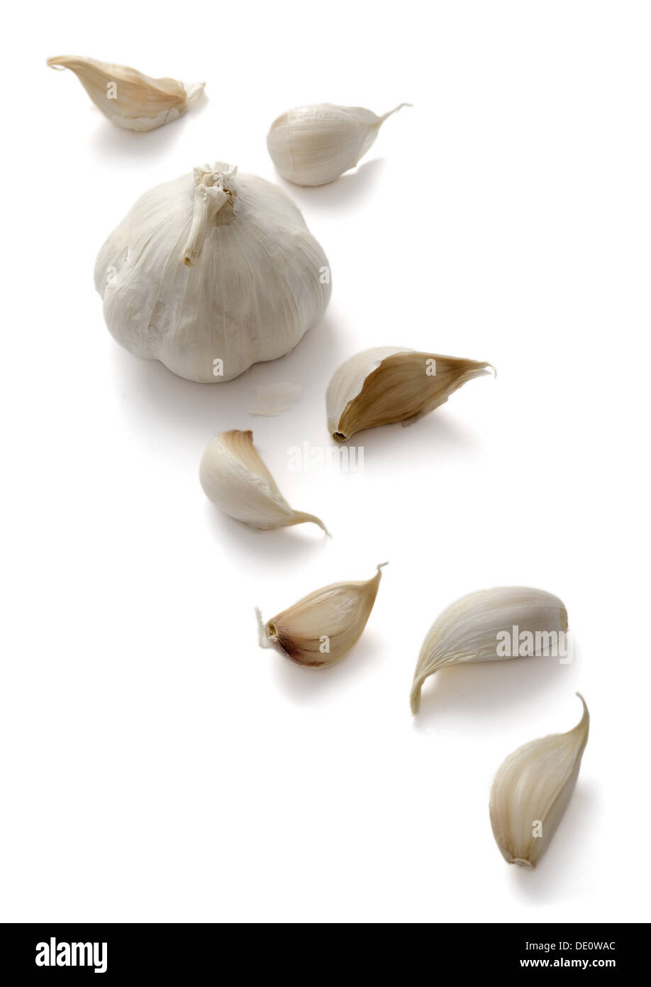 Garlic Bulbs and Cloves on a white background Stock Photo - Alamy