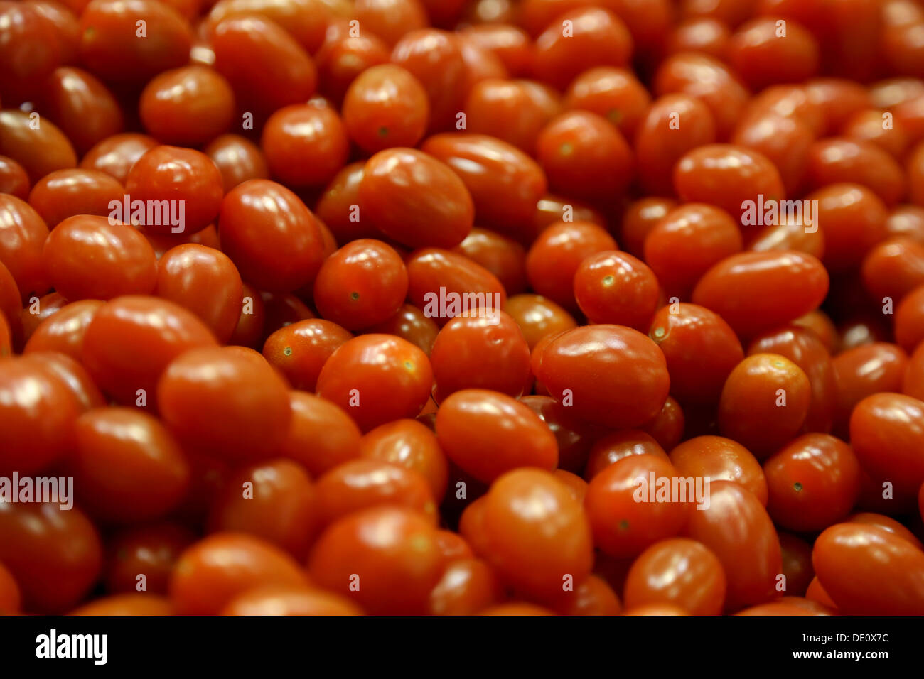 Grape tomatoes at a stand at Fruit Logistica Stock Photo