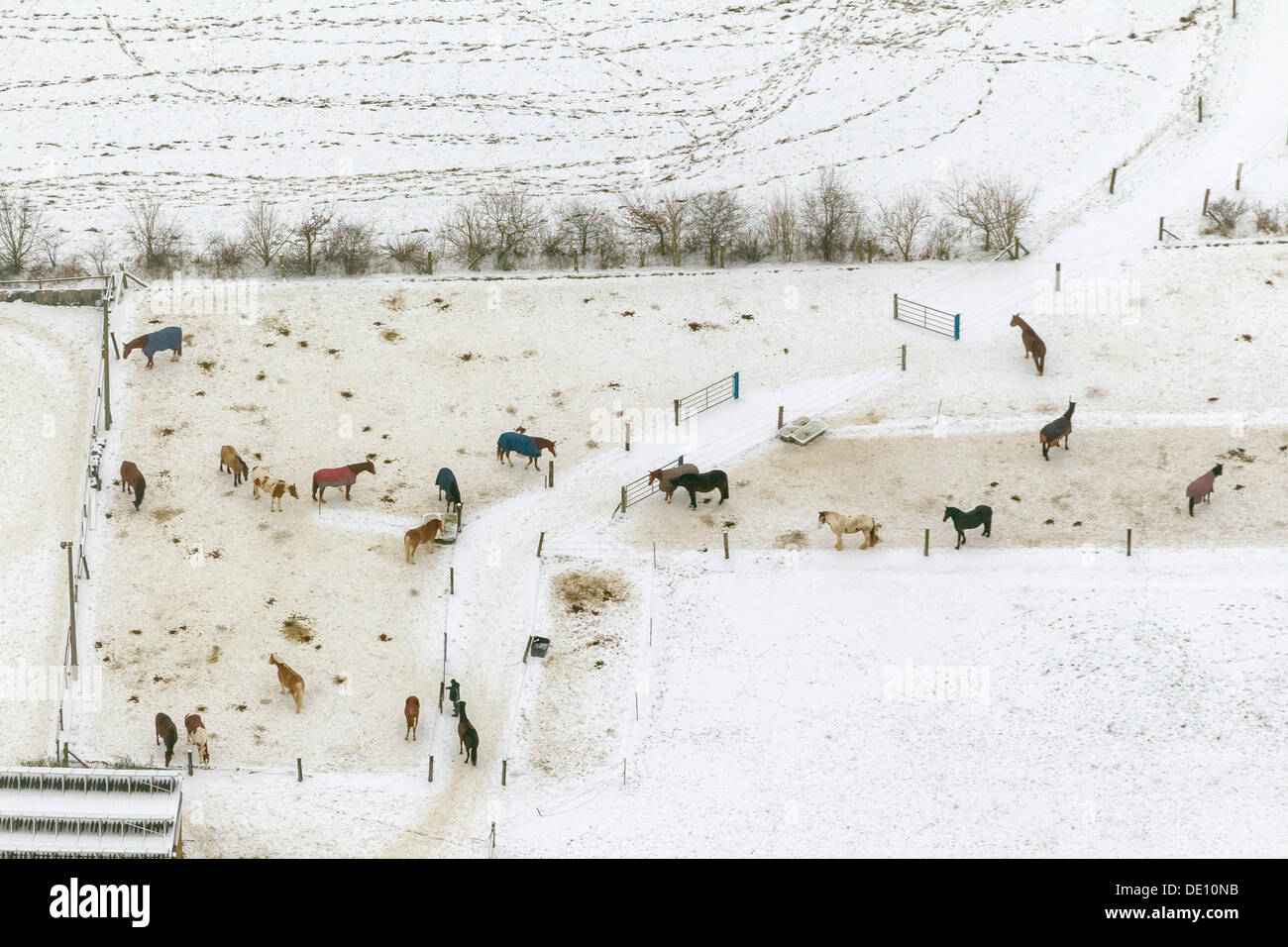 Aerial view, paddock in the snow, horseriding stable on the road Laupendahler Landstrasse Stock Photo