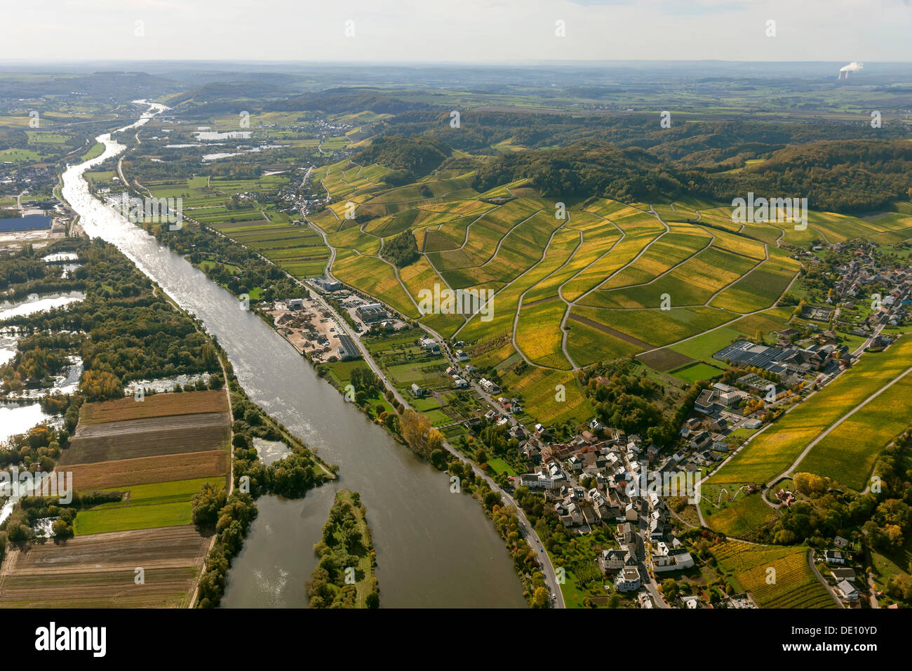 Aerial view, Moselle wine region, Moselle valley, vineyards of Schengen Stock Photo
