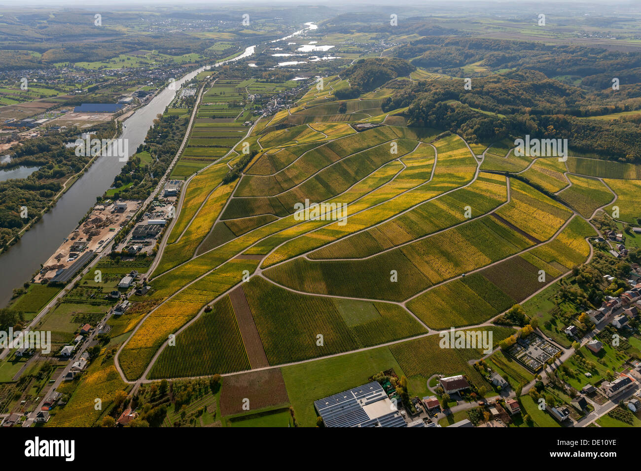 Aerial view, Moselle wine region, Moselle valley, vineyards of Schengen Stock Photo