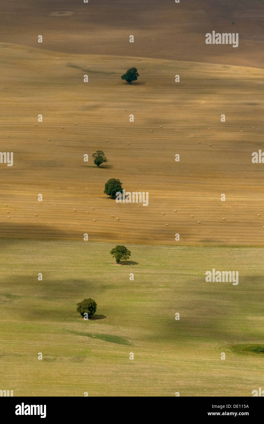 Aerial view, solitary trees on a field, farm, moraine Stock Photo