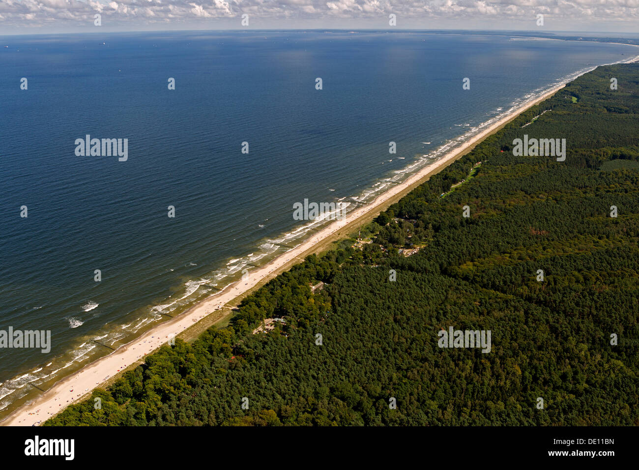 Aerial shot beach ocean forest hi-res stock photography and images - Alamy
