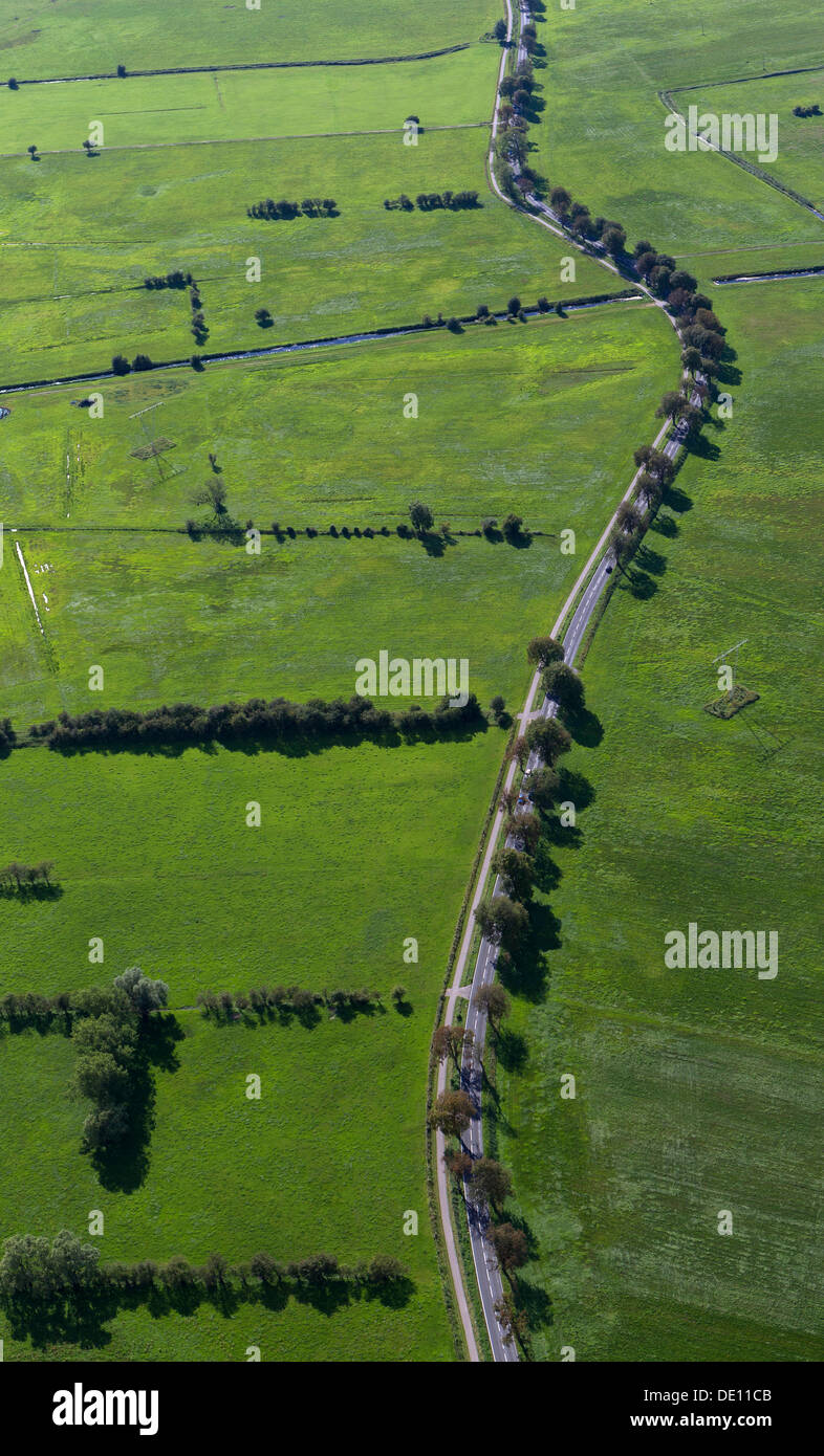 Aerial view, Anklamer Strasse, a tree-lined road with meadows Stock Photo