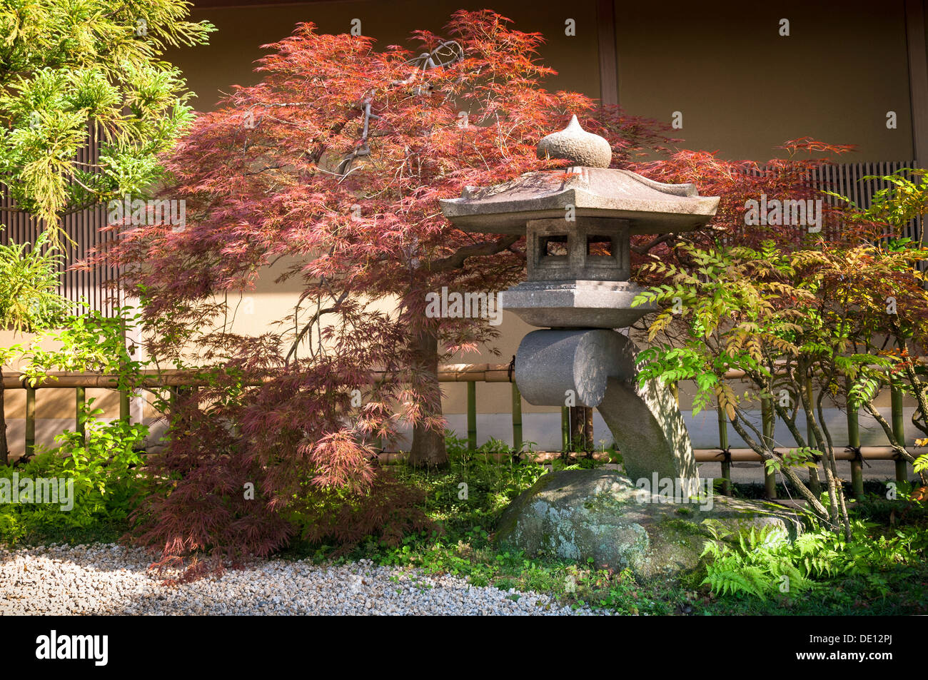 Japanese Stone Lantern And Red Maple Tree In Quiet Zen Garden In Tokyo Japan Stock Photo Alamy