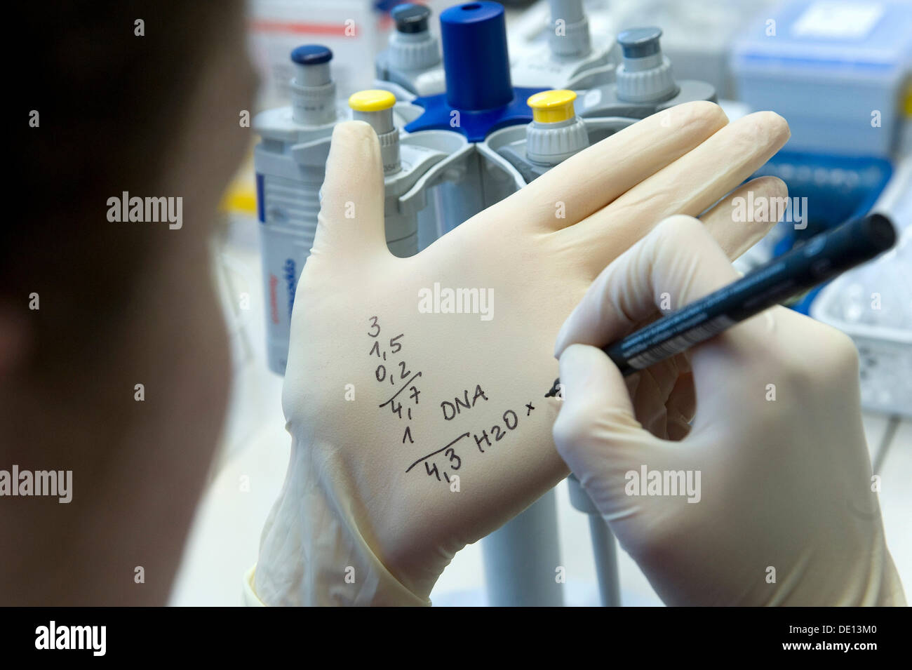 Calculating dilutions of DNA samples, molecular genetics Stock Photo