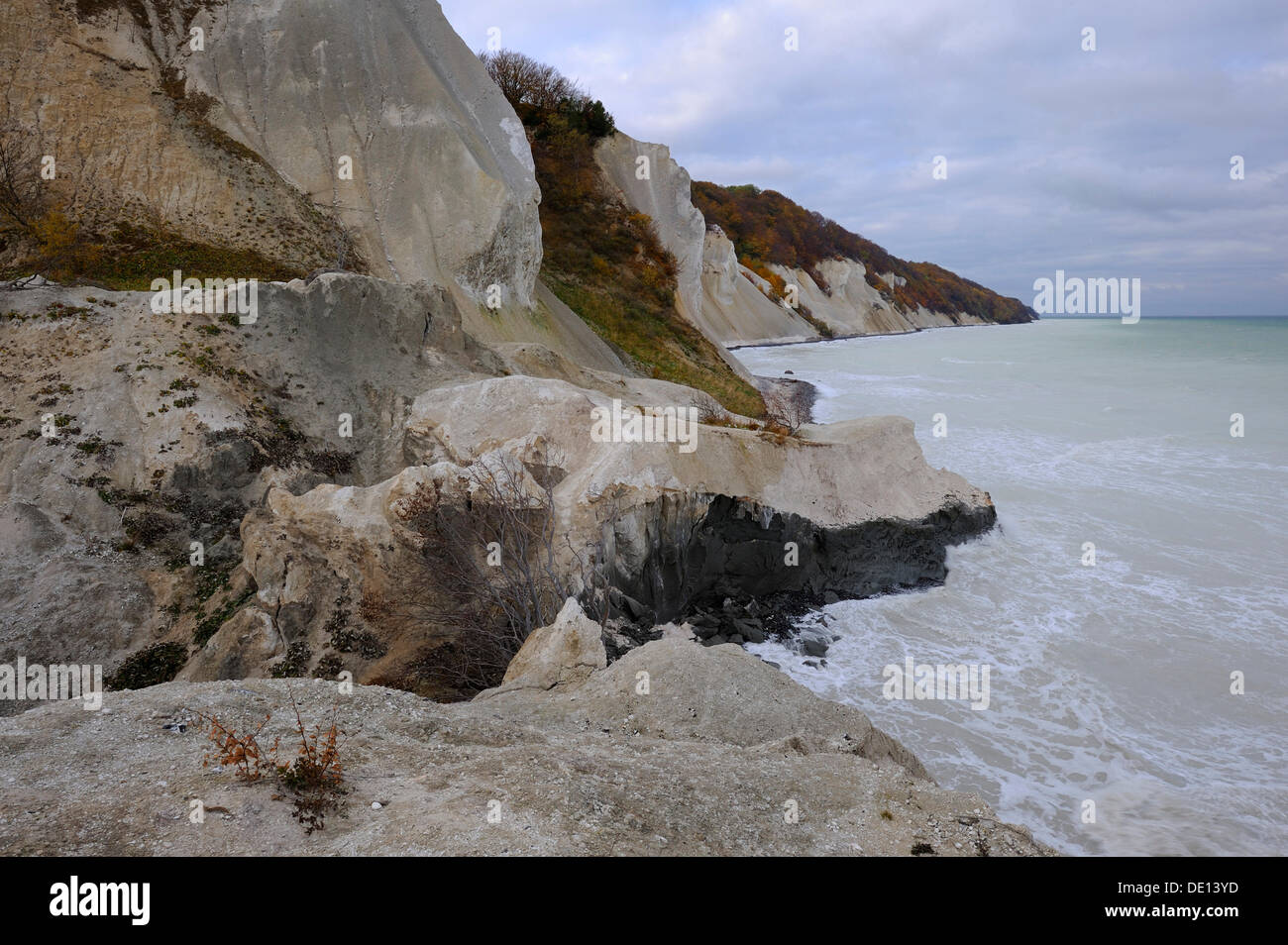 Autumn mood, chalk cliffs and the Baltic Sea, Moensklint, Moen Island, Denmark, Scandinavia, Europe Stock Photo