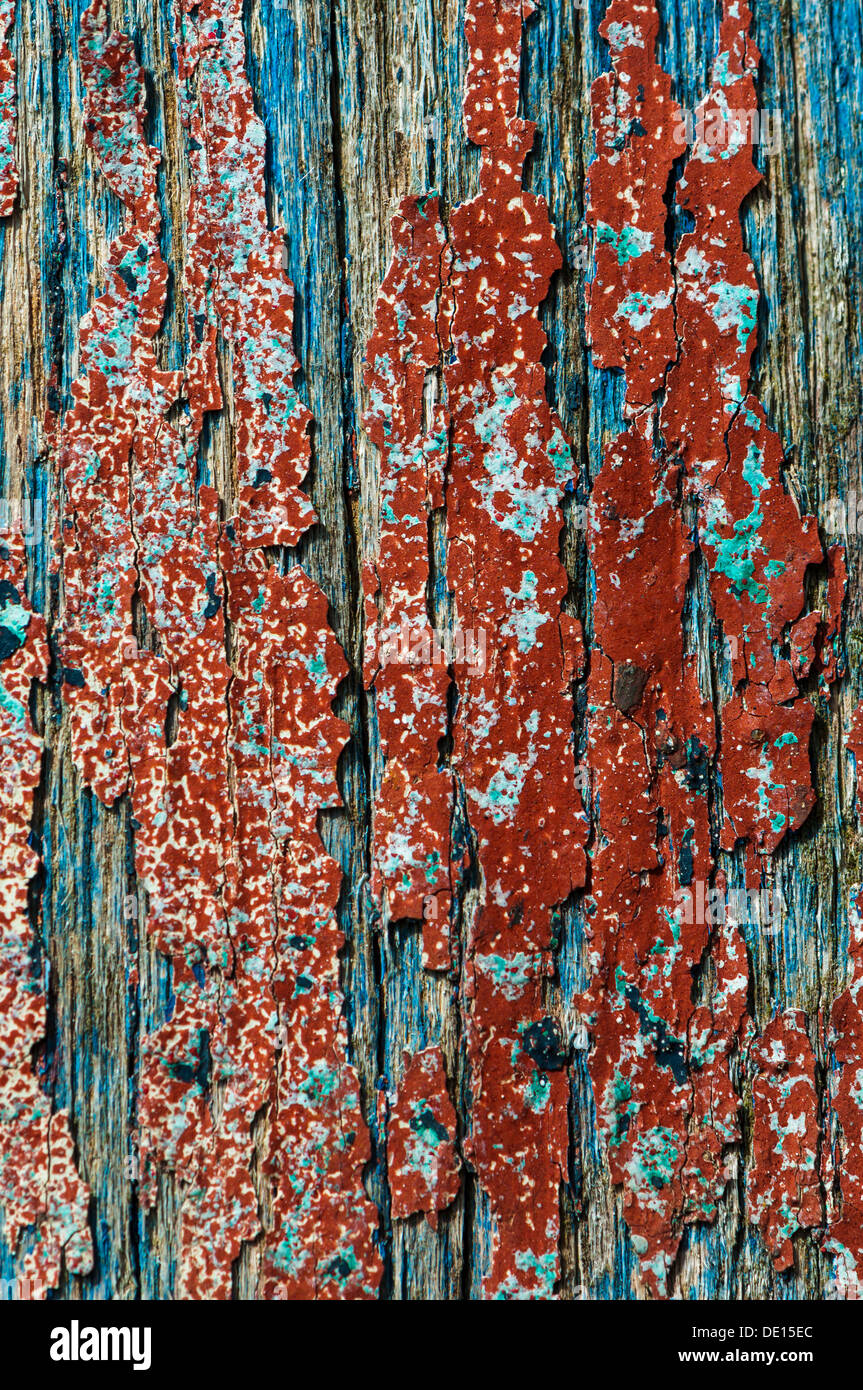 Wood with paint coming off in flakes Stock Photo Alamy