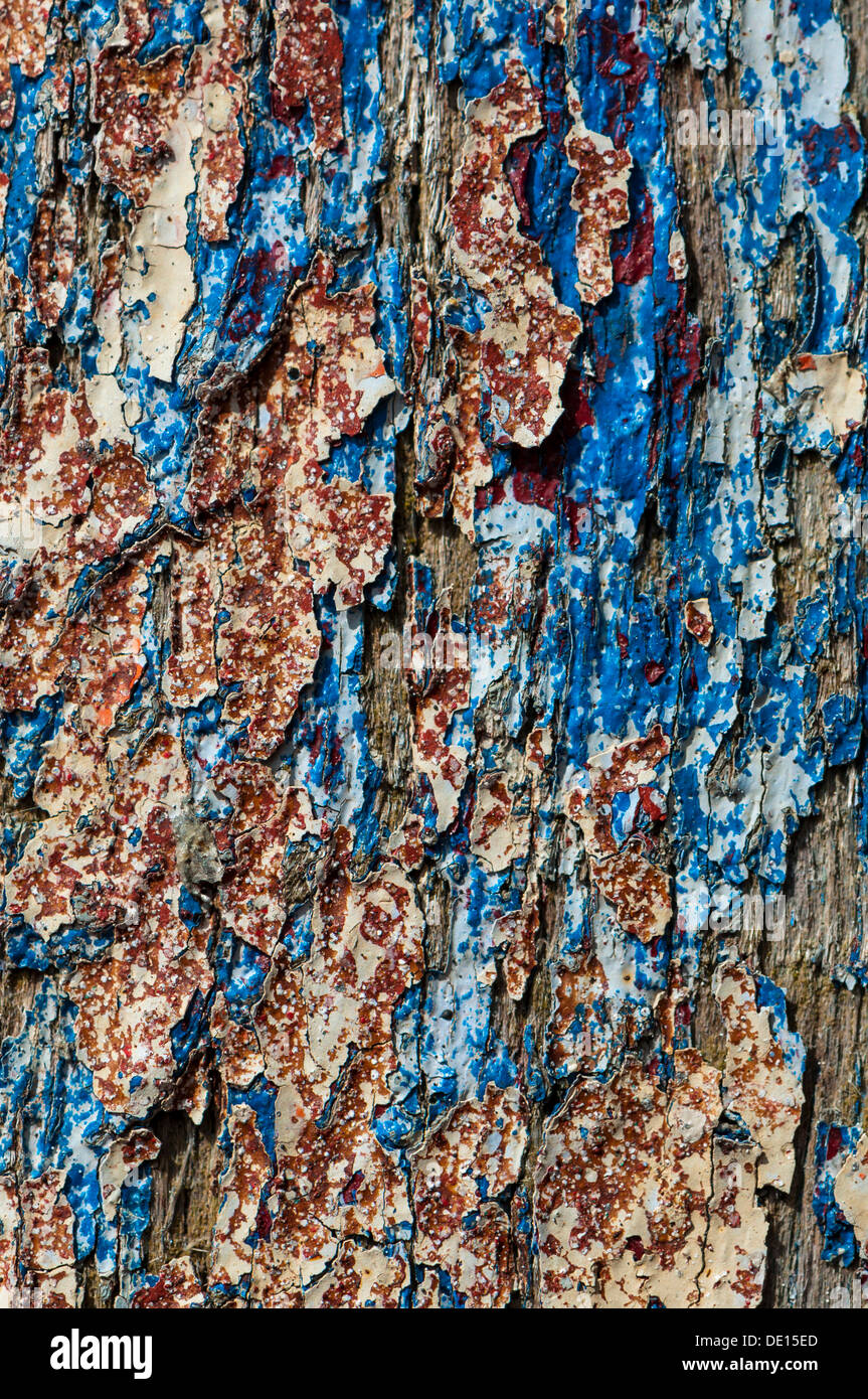Wood with paint coming off in flakes Stock Photo Alamy
