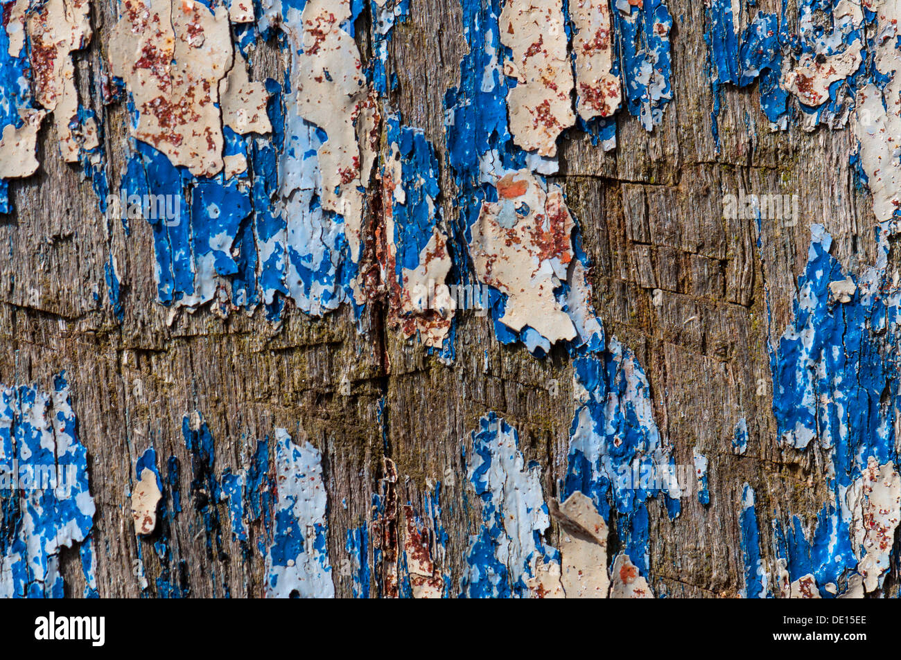 Wood with paint coming off in flakes Stock Photo Alamy
