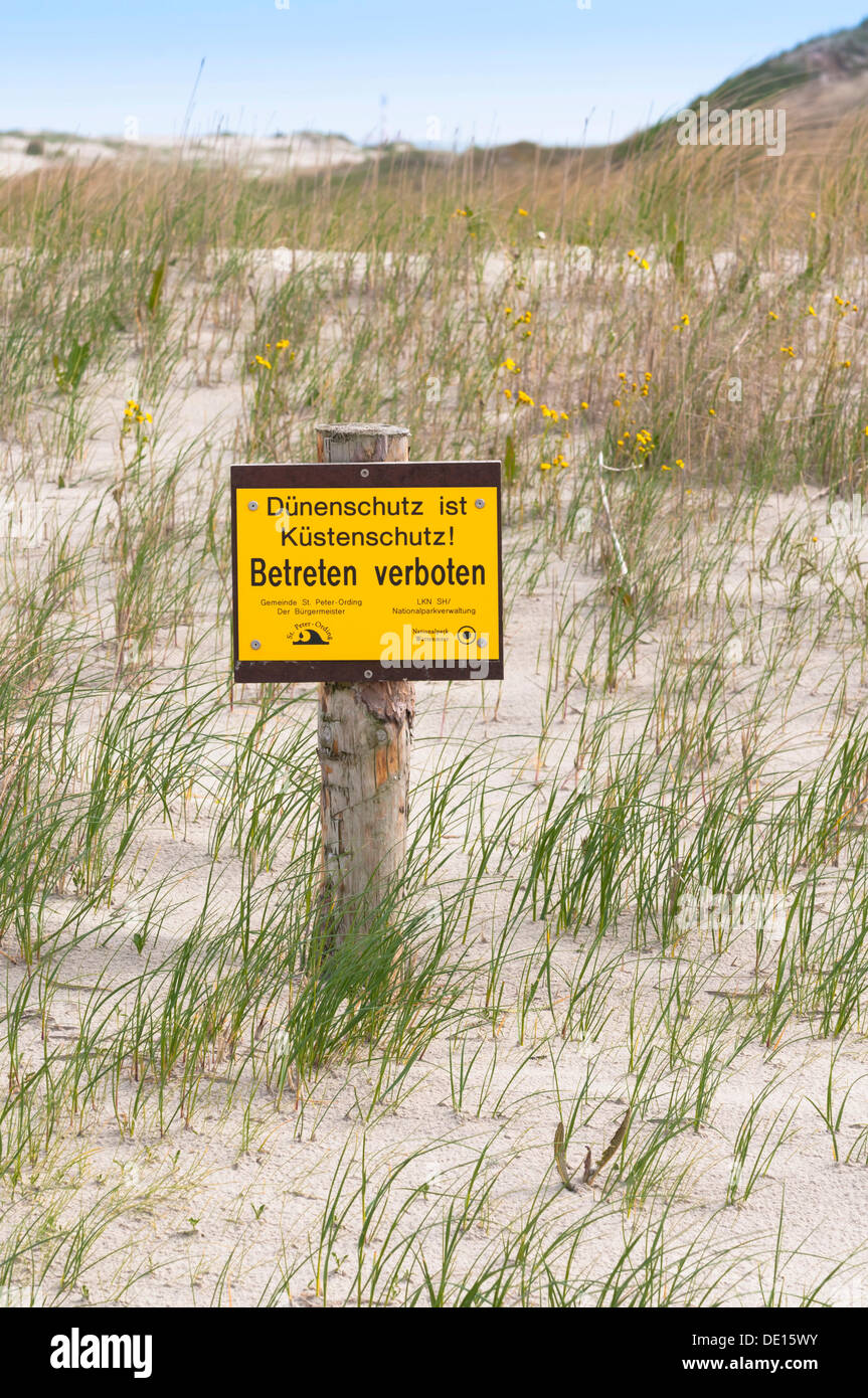 Sign in the middle of young Marram Grass, Bent Grass or Beachgrass (Ammophila), 'Duenenschutz ist Kuestenschutz', German for Stock Photo