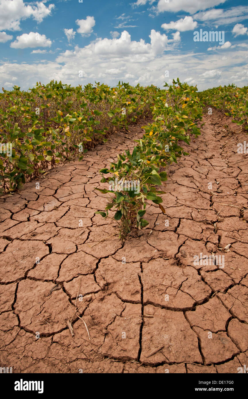 Effects Of Drought On Agriculture Biology Diagrams