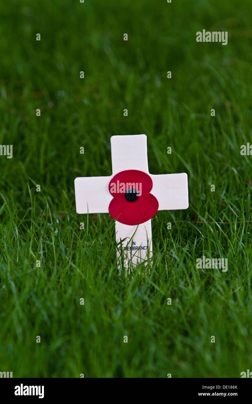 Remembrance Day poppy Stock Photo - Alamy
