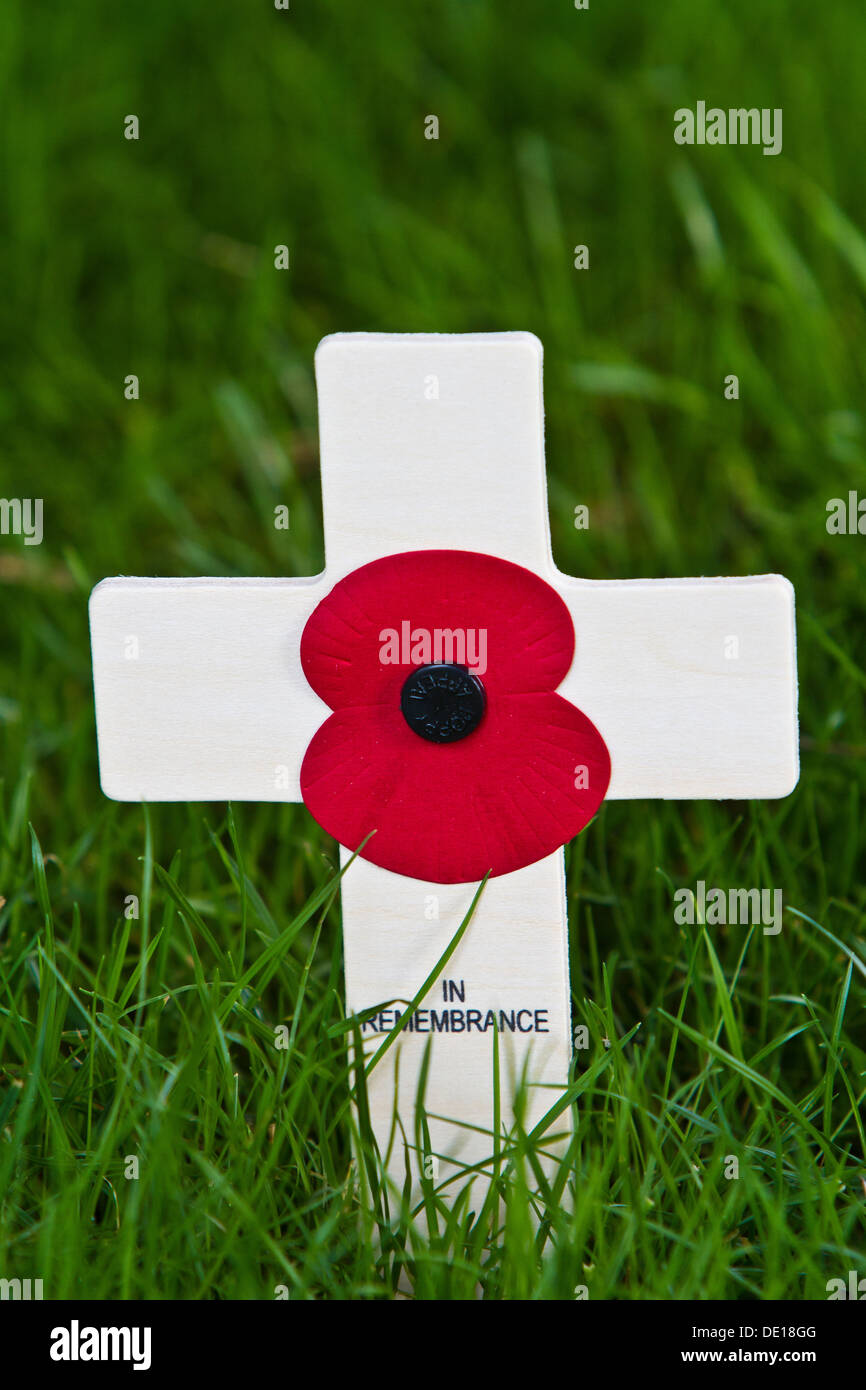 Remembrance Day poppy Stock Photo - Alamy