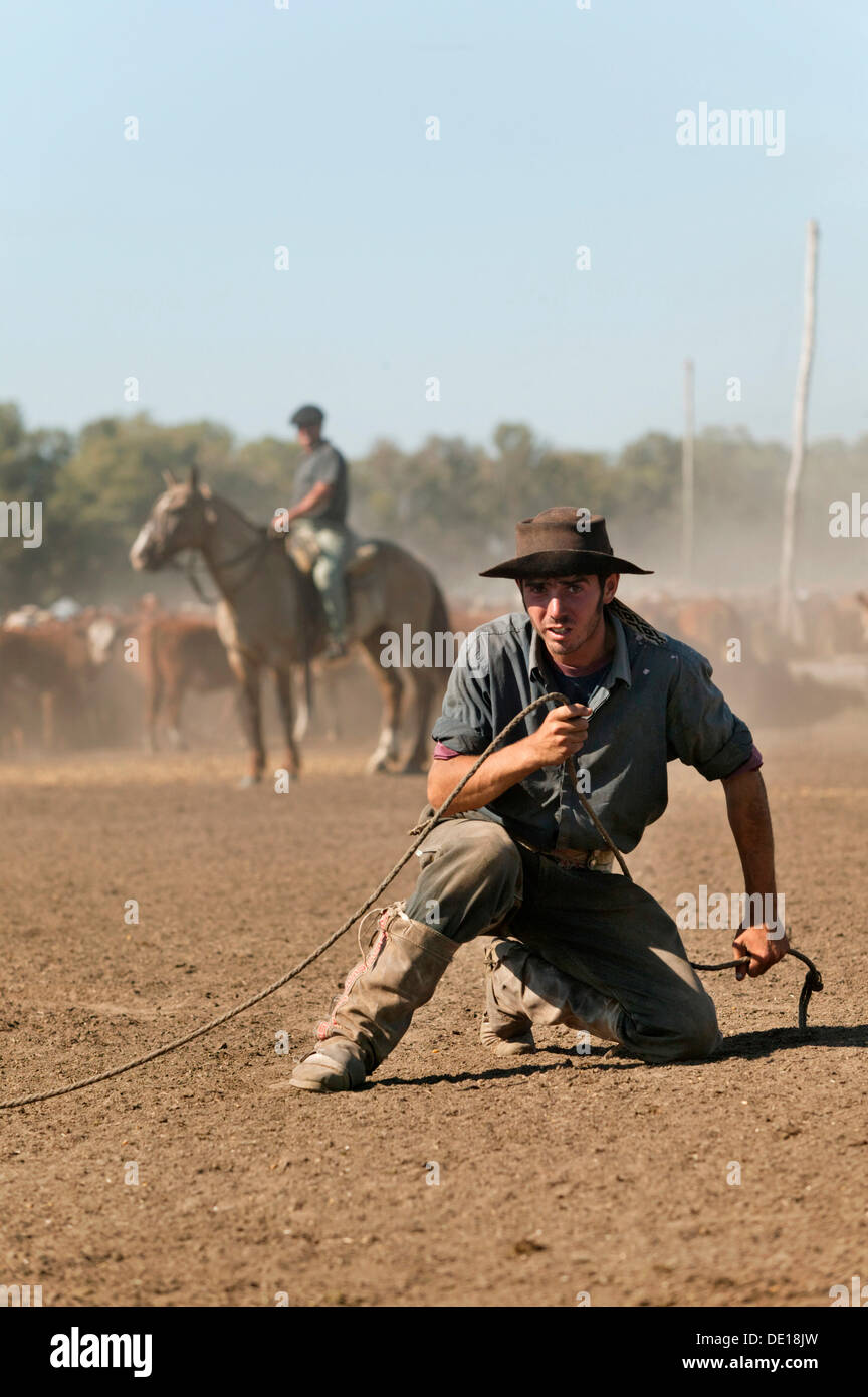 Gaucho argentina lasso hi-res stock photography and images - Alamy