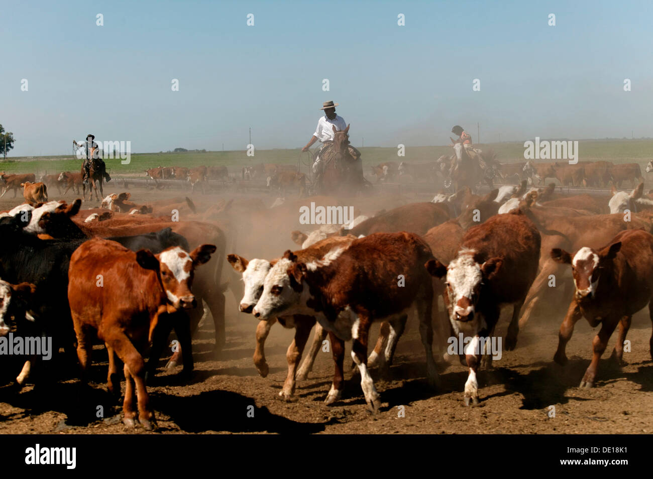 Stream Lasso gaucho en Argentine by BloupTrotters_blog