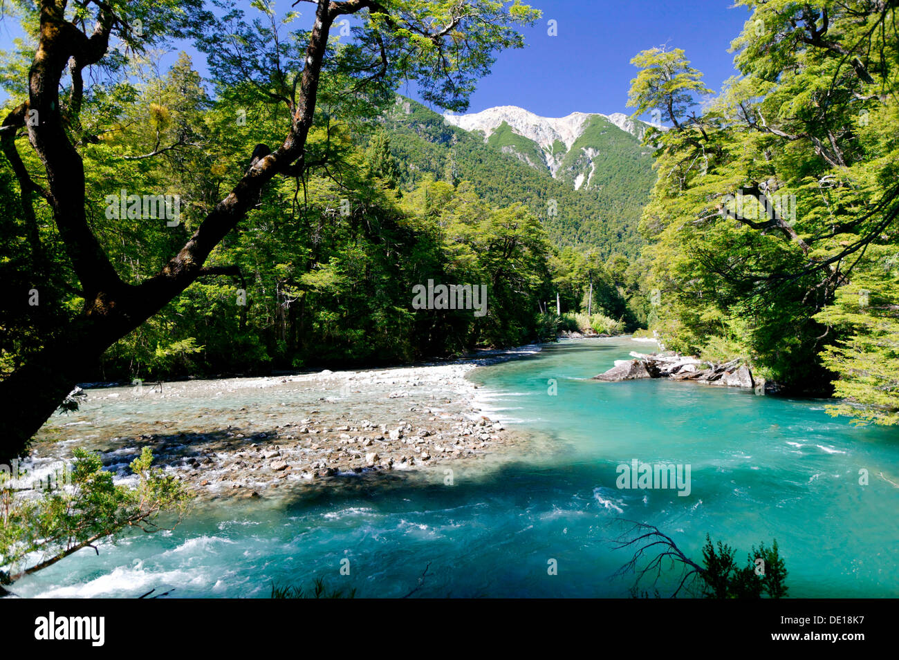 Esquel river, Los Alerces National Park, Chubut Province, Patagonia, Argentina, South America Stock Photo