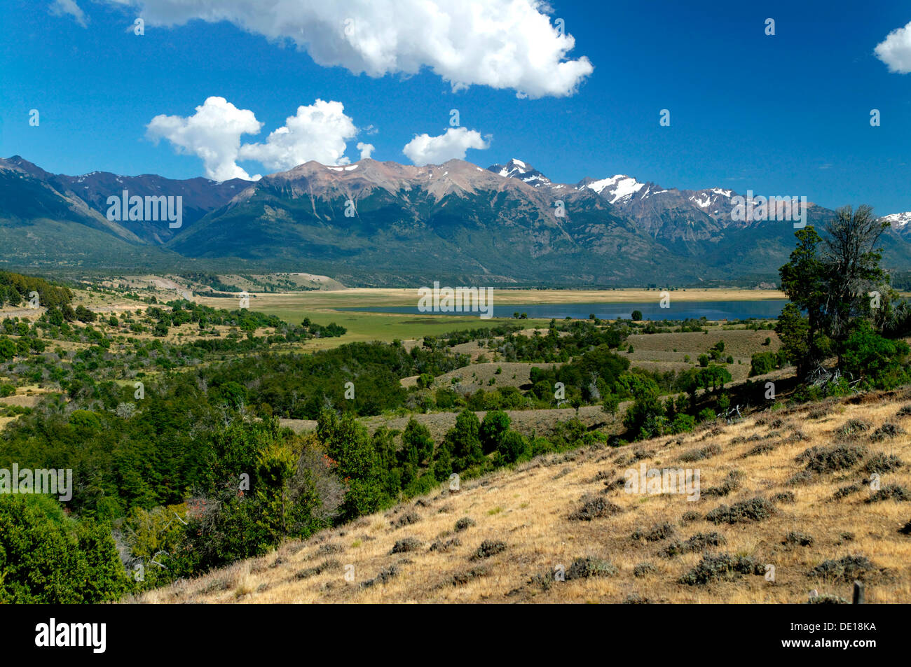 Los Alerces National Park, Esquel, Chubut Province, Patagonia, Argentina, South America Stock Photo