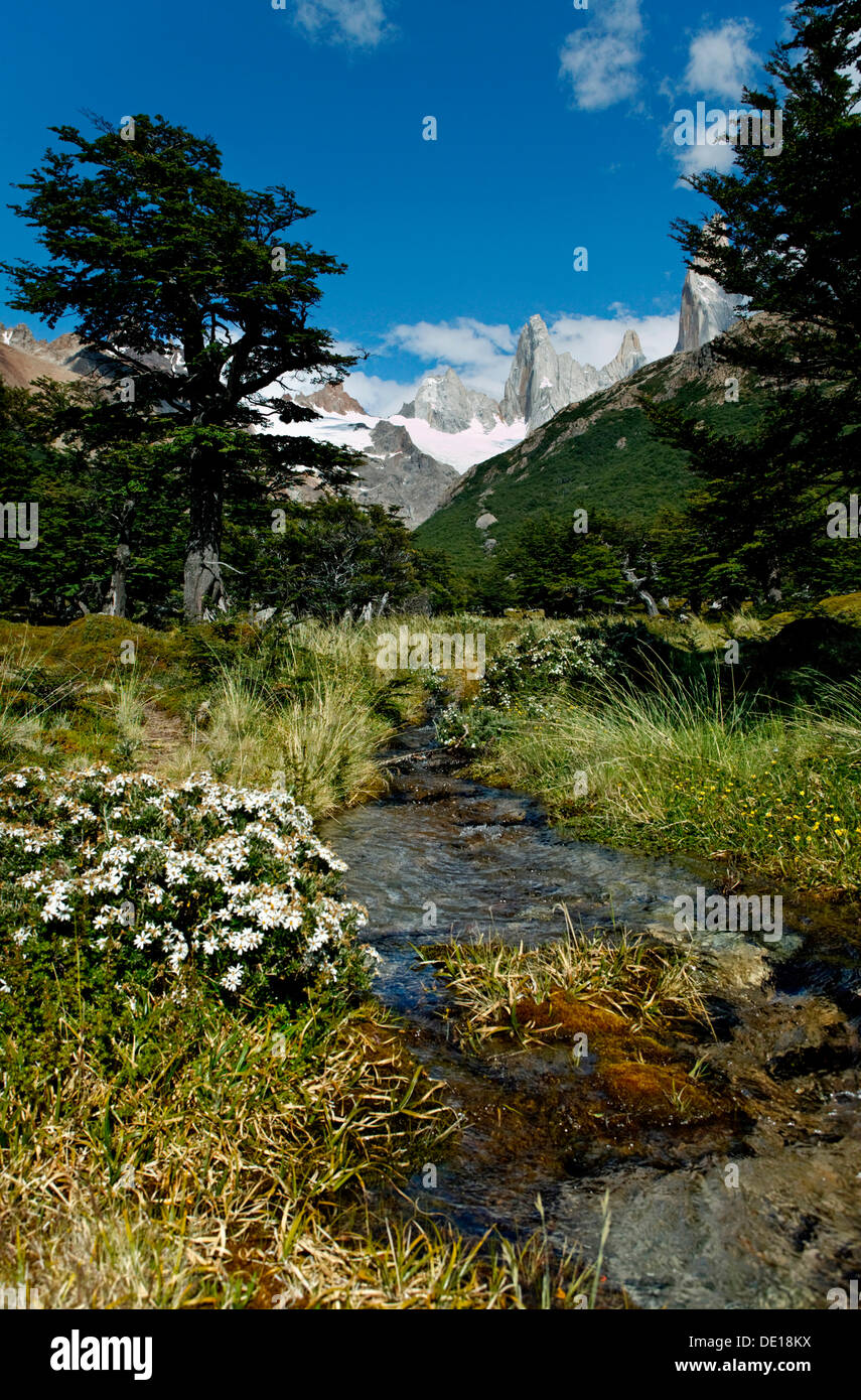 Los Glaciares National Park, UNESCO World Heritage Site, with Monte Fitz Roy, El Chalten, Cordillera, Santa Cruz province Stock Photo