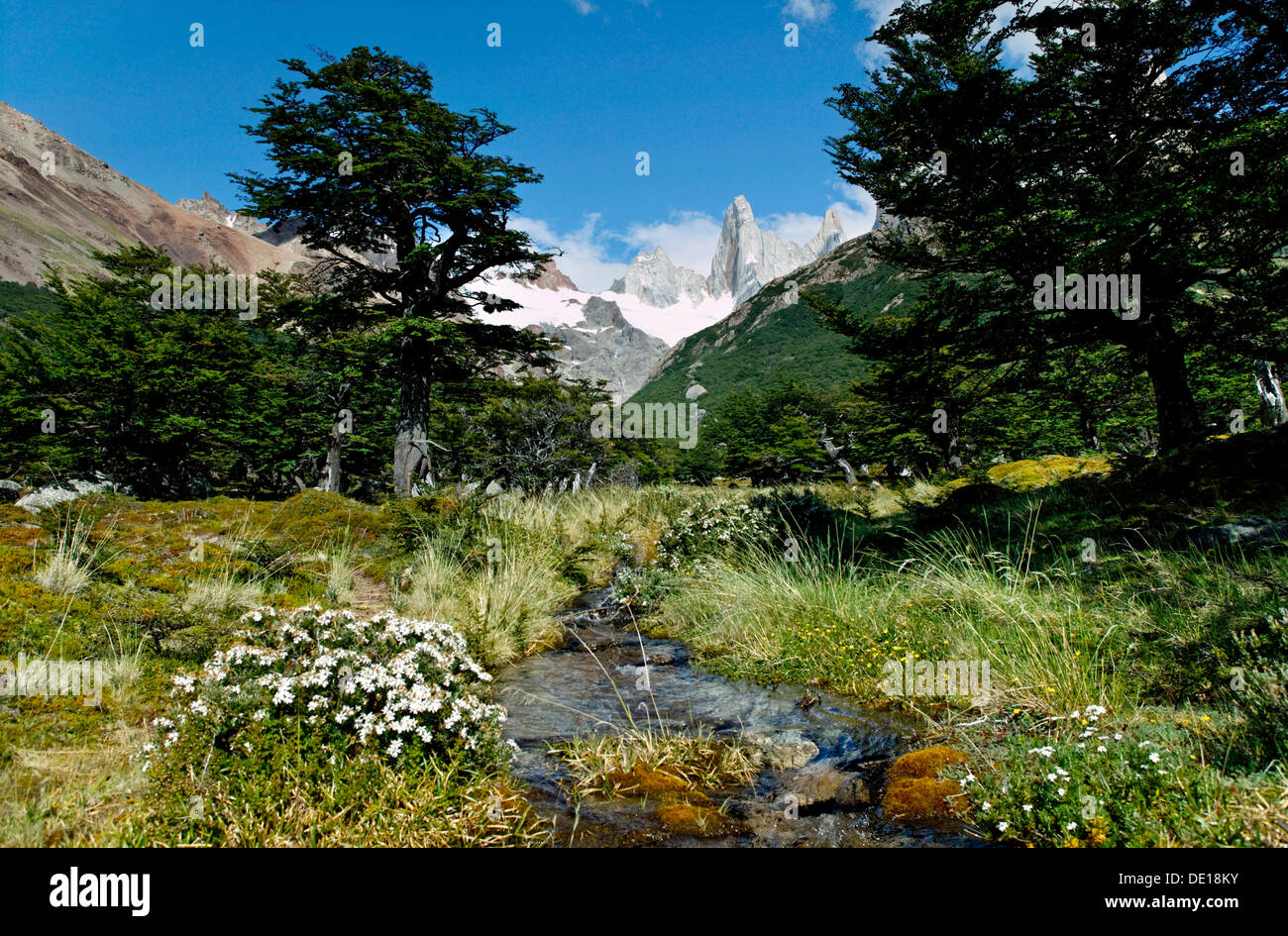 Los Glaciares National Park, UNESCO World Heritage Site, with Monte Fitz Roy, El Chalten, Cordillera, Santa Cruz province Stock Photo