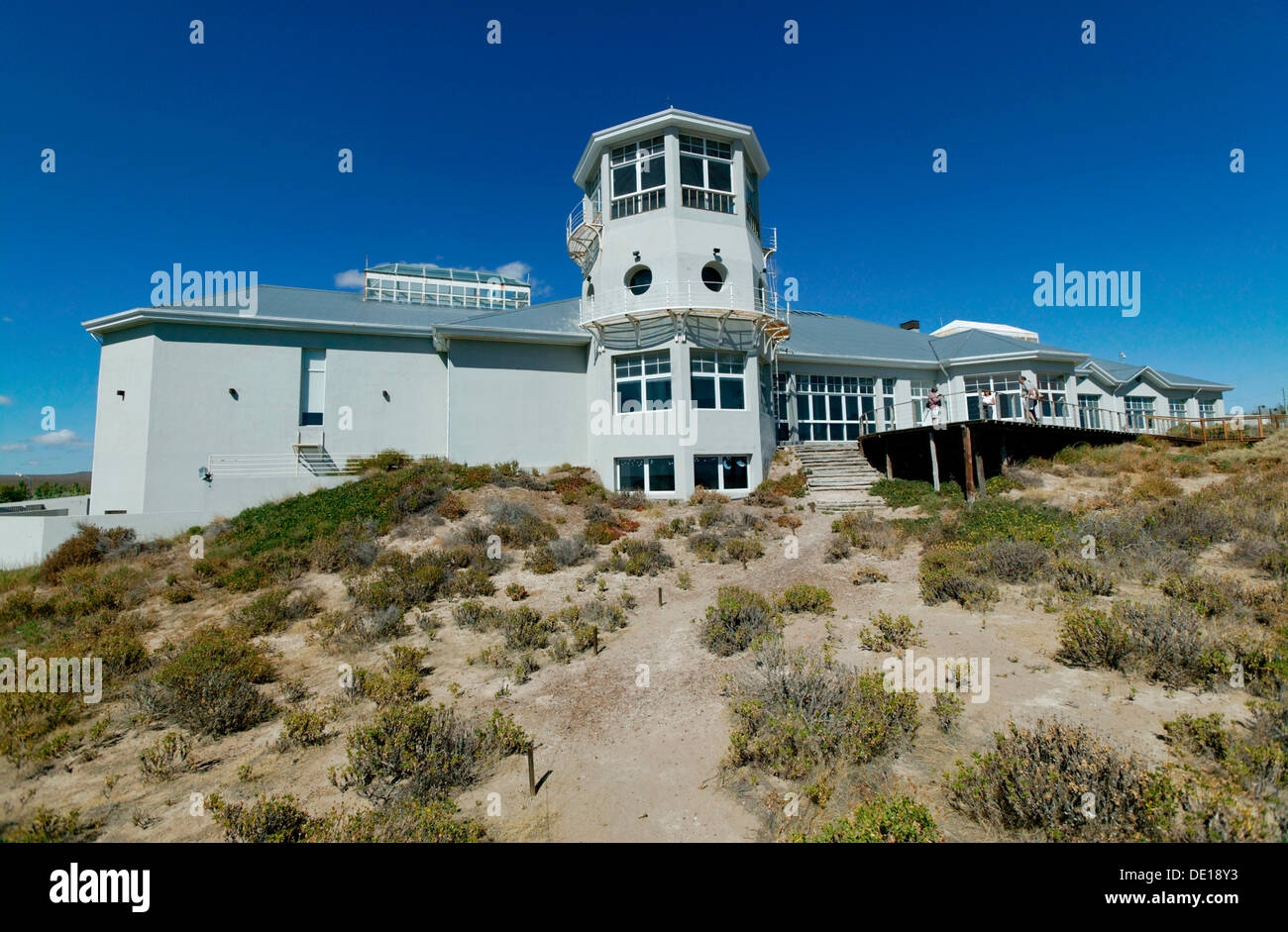 Ecocentro Museum, Puerto Madryn, Chubut province, Patagonia, Argentina, South America Stock Photo