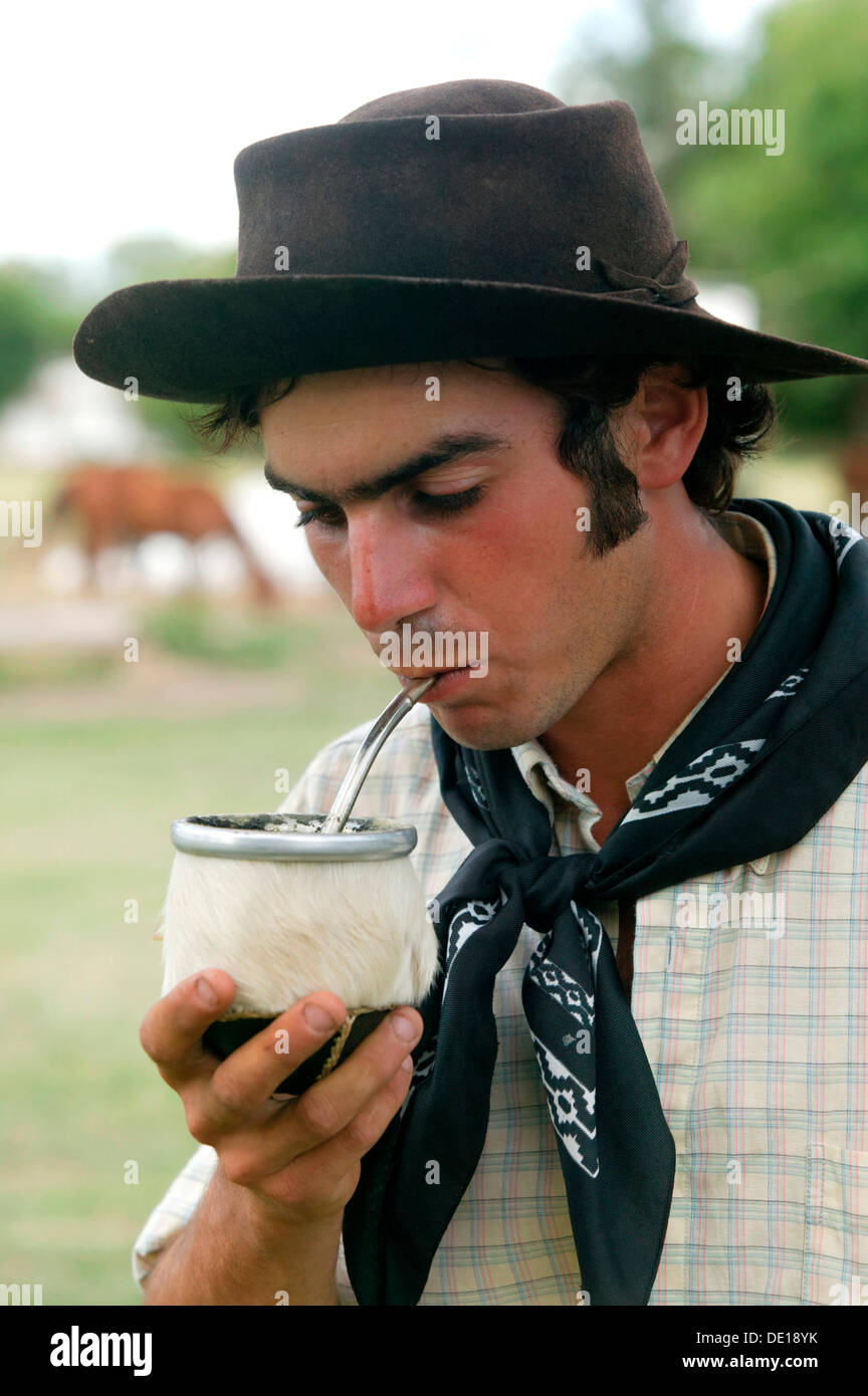 Gaucho drinking mate tea, Estancia San Isidro del Llano towards Stock
