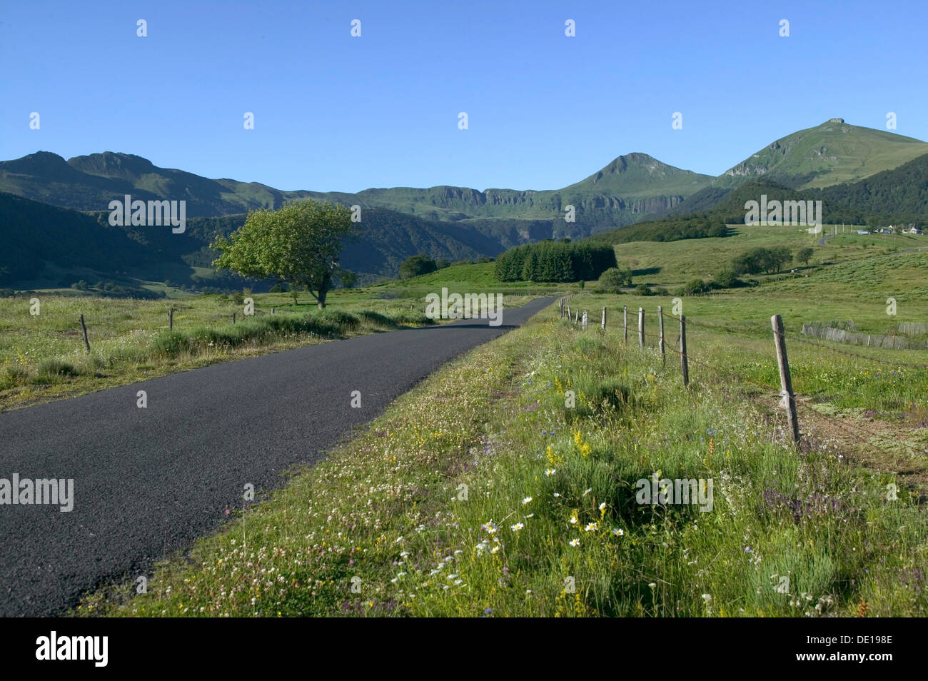 Country road, Cheylade Valley, parc des volcans d'Auvergne, Parc Naturel Regional des Volcans d'Auvergne, Auvergne Volcanoes Stock Photo