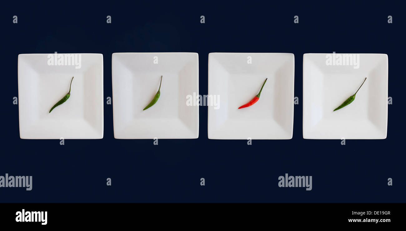Four Bird's eye chili peppers, on separate square plates in a line. Red, Green, White, Blue. Stock Photo