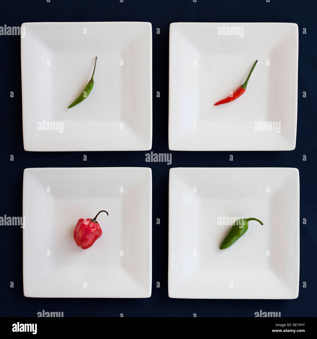 Four assorted chili peppers, on separate square plates. Red, Green, White, Blue. Bird's eye, Scotch Bonet, Jalapeño. Stock Photo