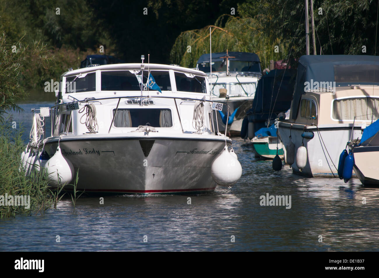 Broads cruiser on narrow part of Norfolk Broads at Rockland Stock Photo