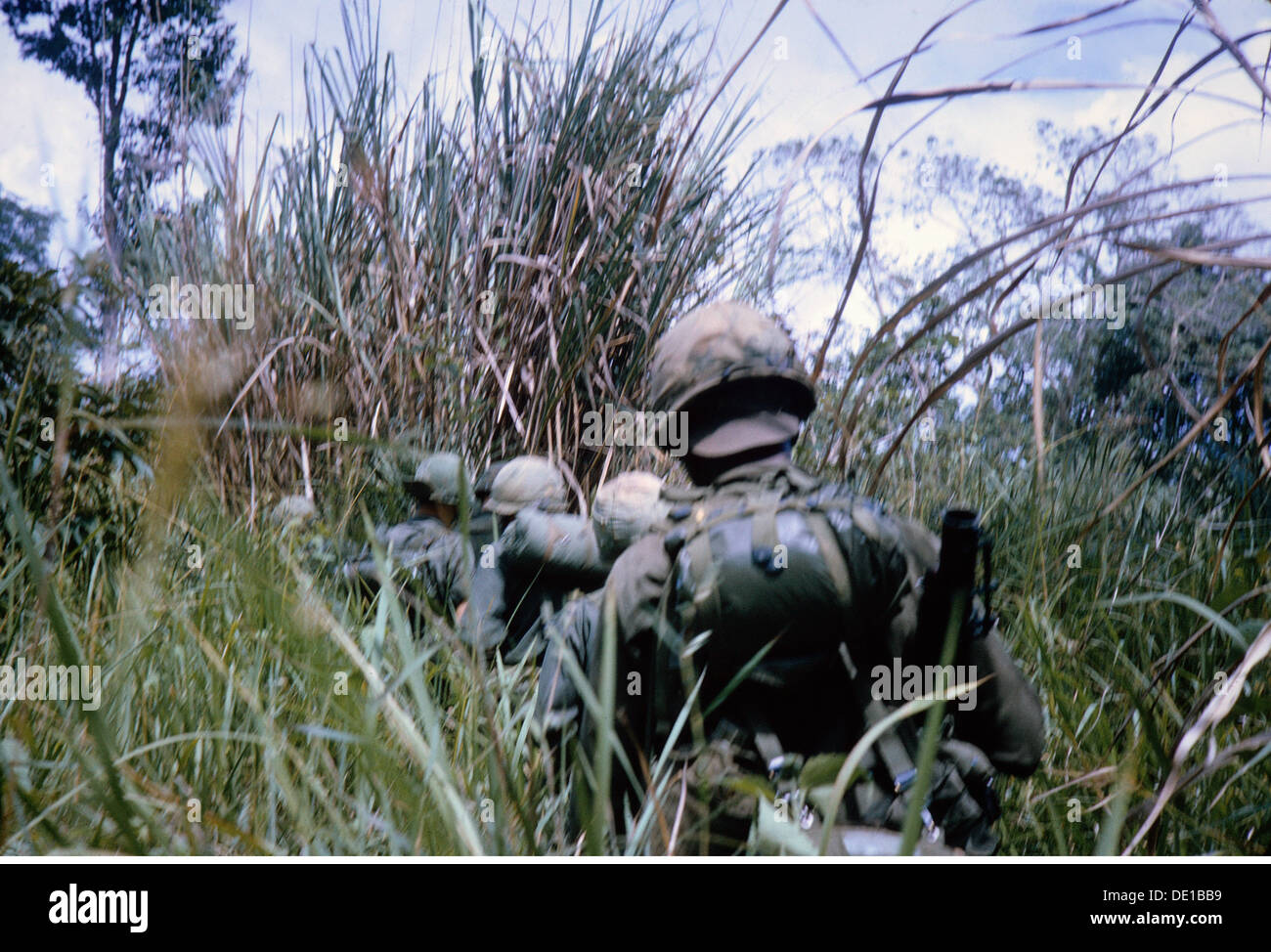 Vietnam War 1957 - 1975, American soldiers on patrol in the thicket, South Vietnam, 1965, almost impassable region, almost impassable, rough, undergrowth, grasses, high grass, military, armed forces, army, armies, USA, United States of America, South-East Asia, South East Asia, Southeast Asia, Far East, Viet Nam conflict, Viet Nam, Vietnam, war, wars, conflict, conflicts, 1960s, 60s, 20th century, people, men, man, male, soldiers, soldier, patrol, patrols, thicket, thickets, boscage, historic, historical, Additional-Rights-Clearences-Not Available Stock Photo