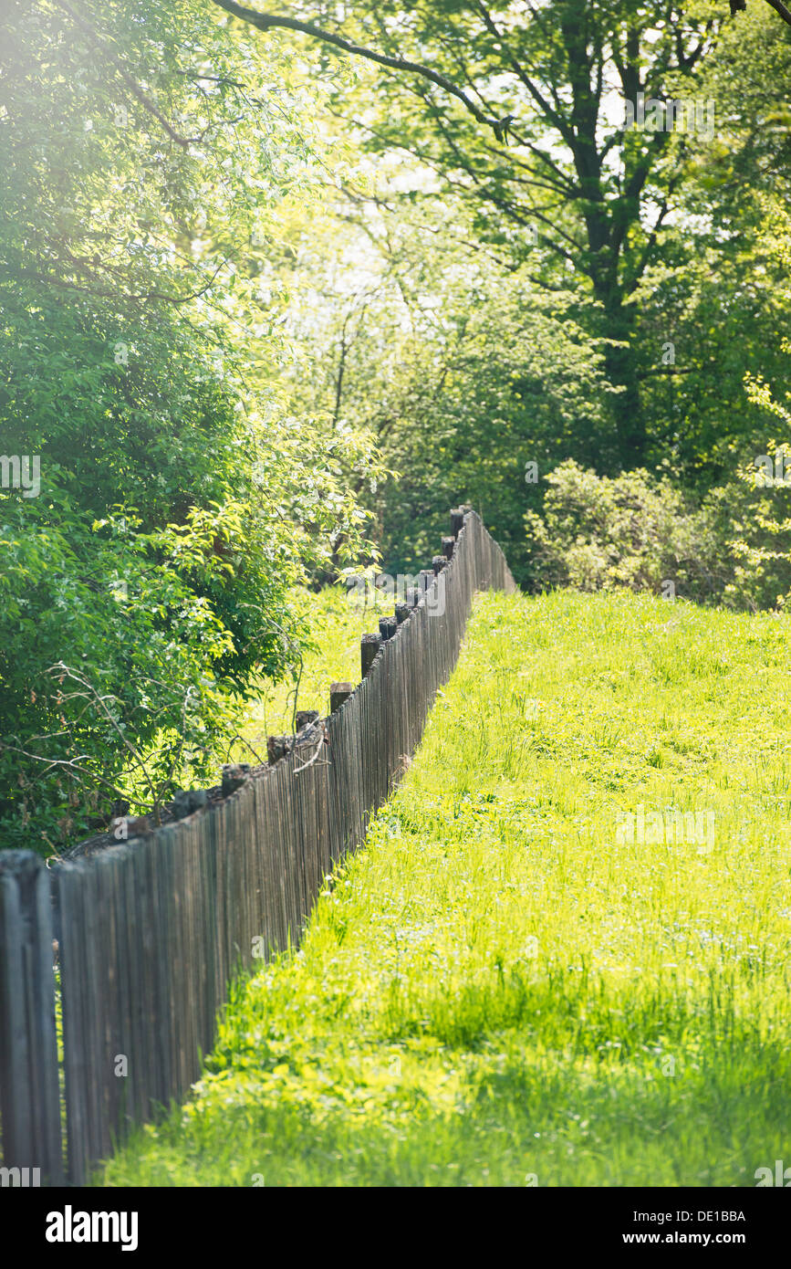 Green grass and wooden fence. Djurgarden park in Stockholm, Sweden Stock Photo