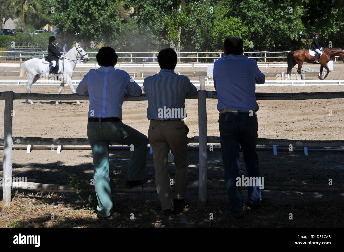 Three men in silhouette watching dressage event. Stock Photo
