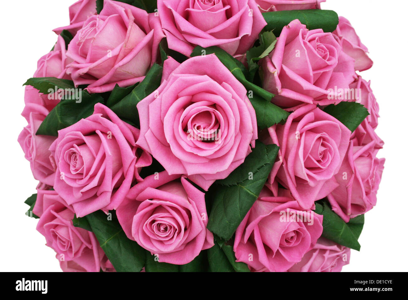 Bouquet of pink roses on clear white background Stock Photo - Alamy