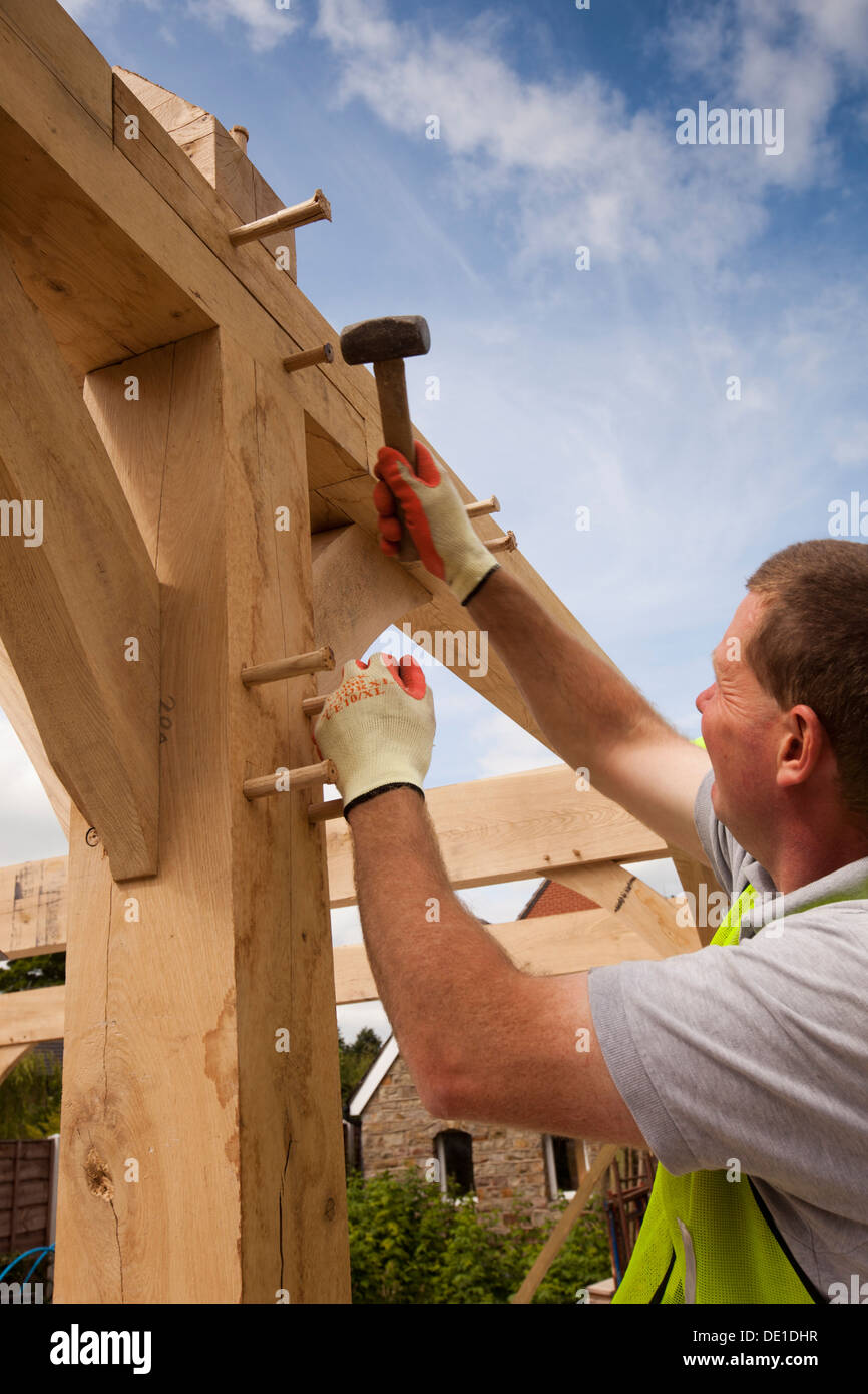 self building house, constructing green oak timber framed garage, pegging frame by hammering in round dowel pegs Stock Photo