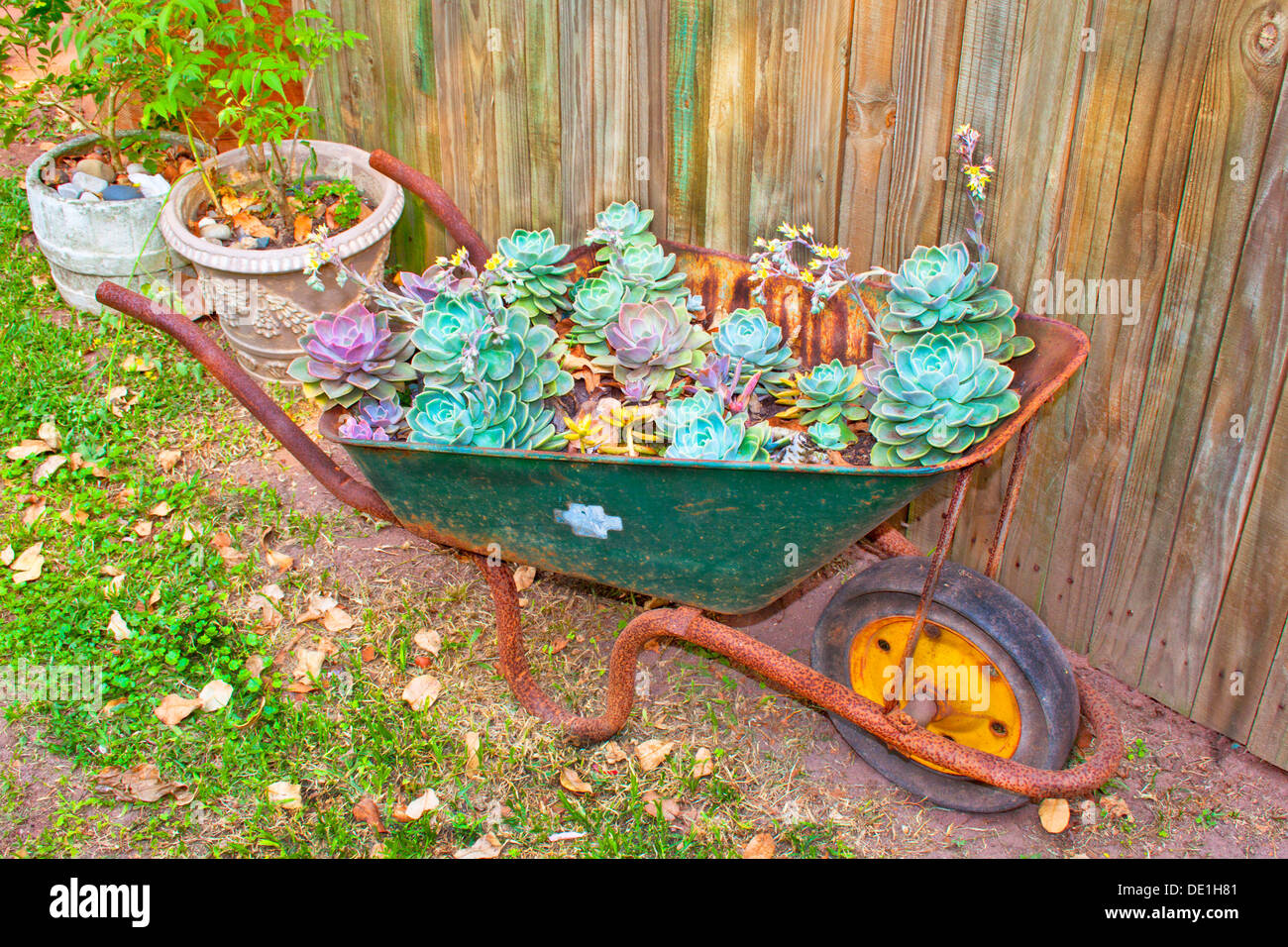 Wheelbarrow filled with flowers hi-res stock photography and images - Alamy