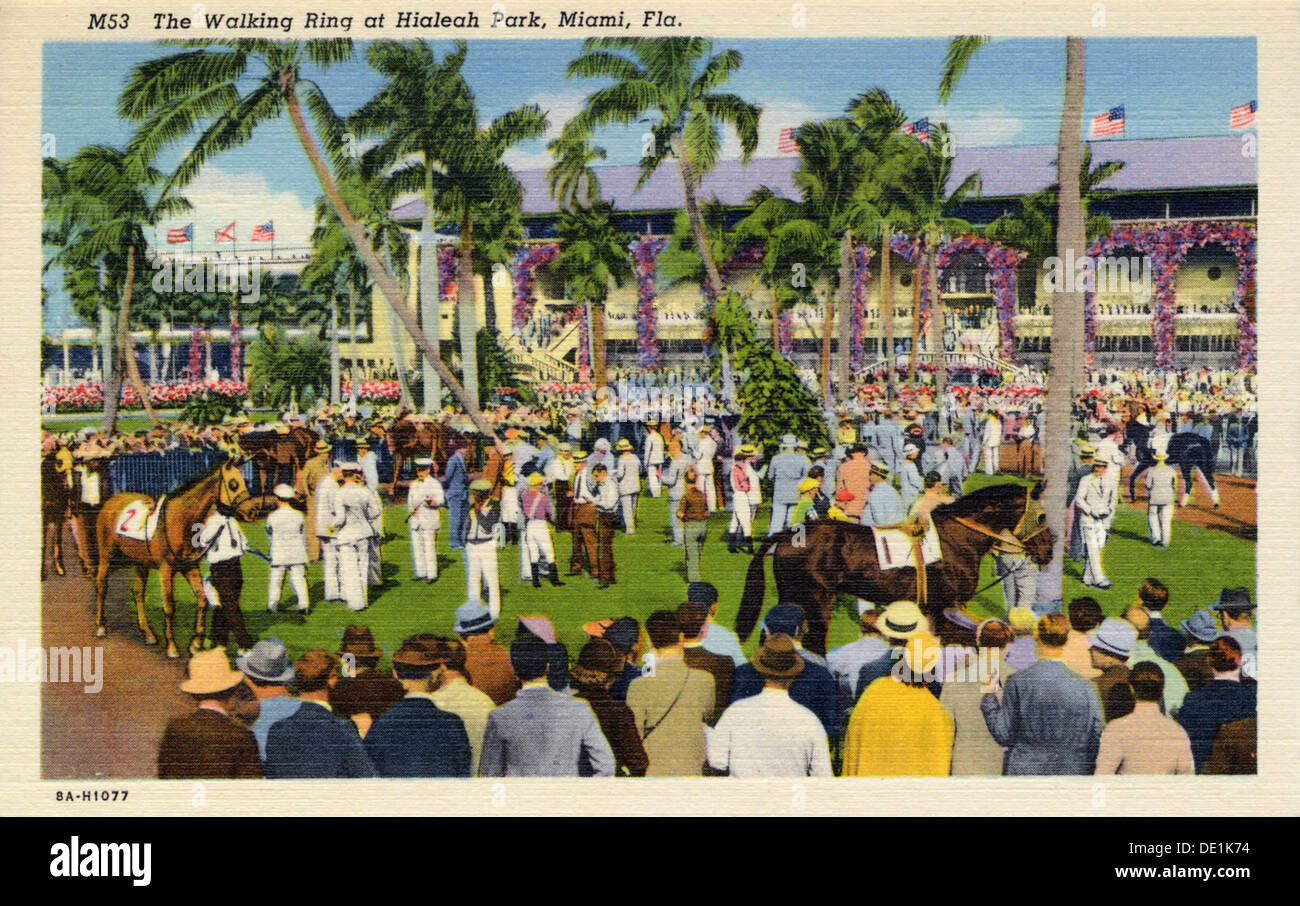Hialeah park hi-res stock photography and images - Alamy