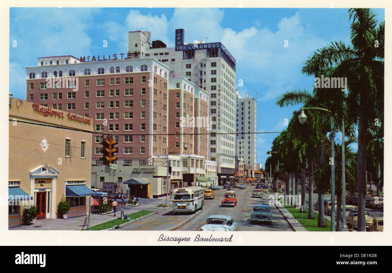Biscayne Boulevard, Miami, Florida, USA, 1958. Artist: Unknown Stock Photo