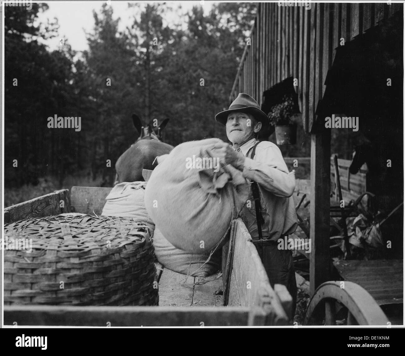 Georgia briar patch farmer unloading purchased grain at hi 521442 hi