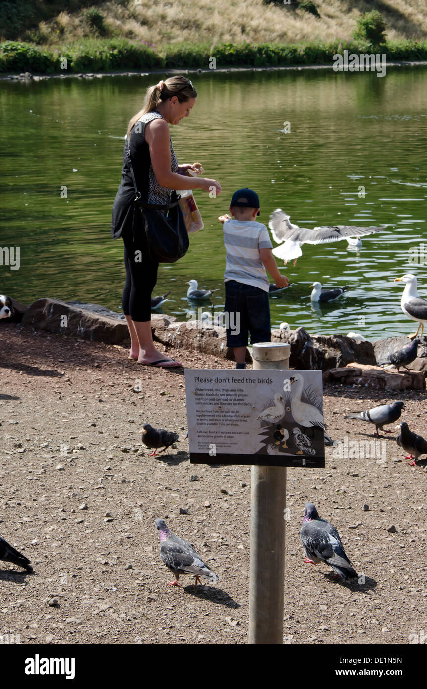 Dont feed ducks sign hires stock photography and images Alamy