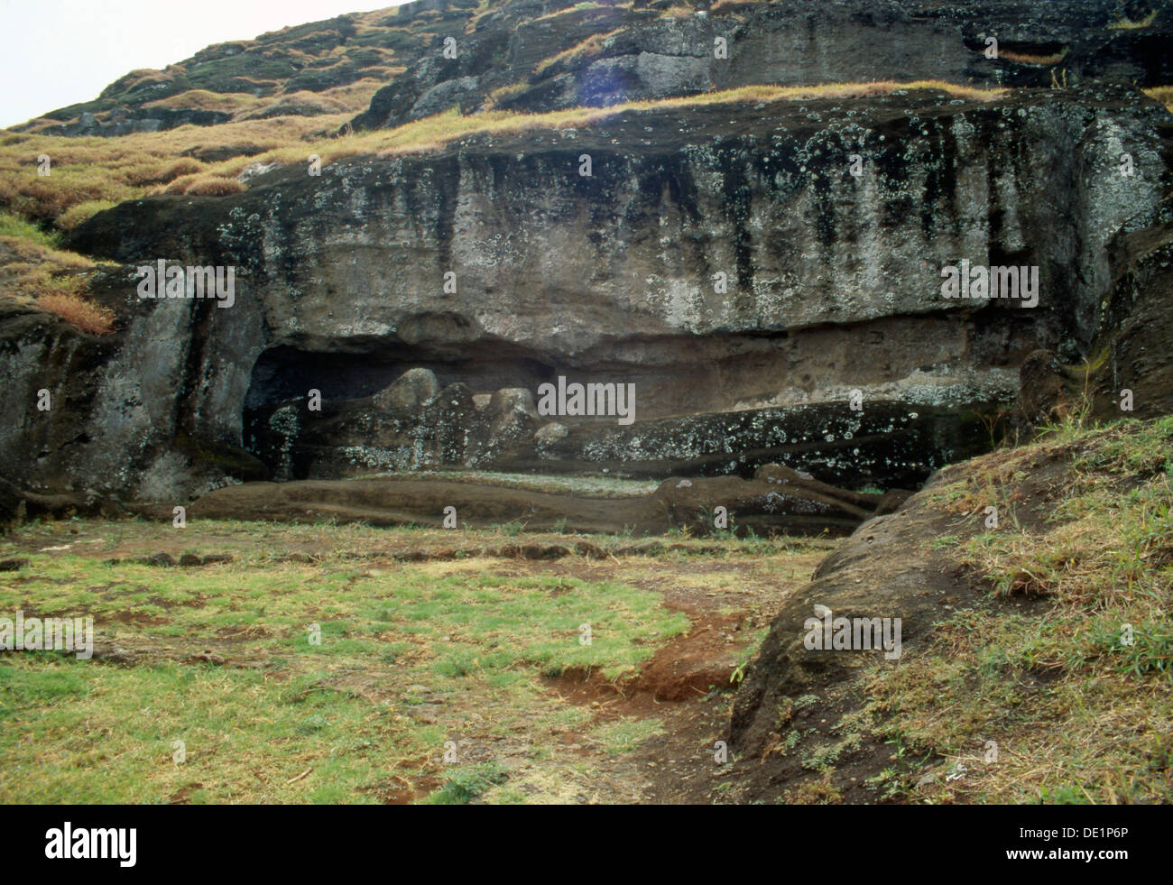 Two giant Easter Island moai statues lying headtofoot, unfinished