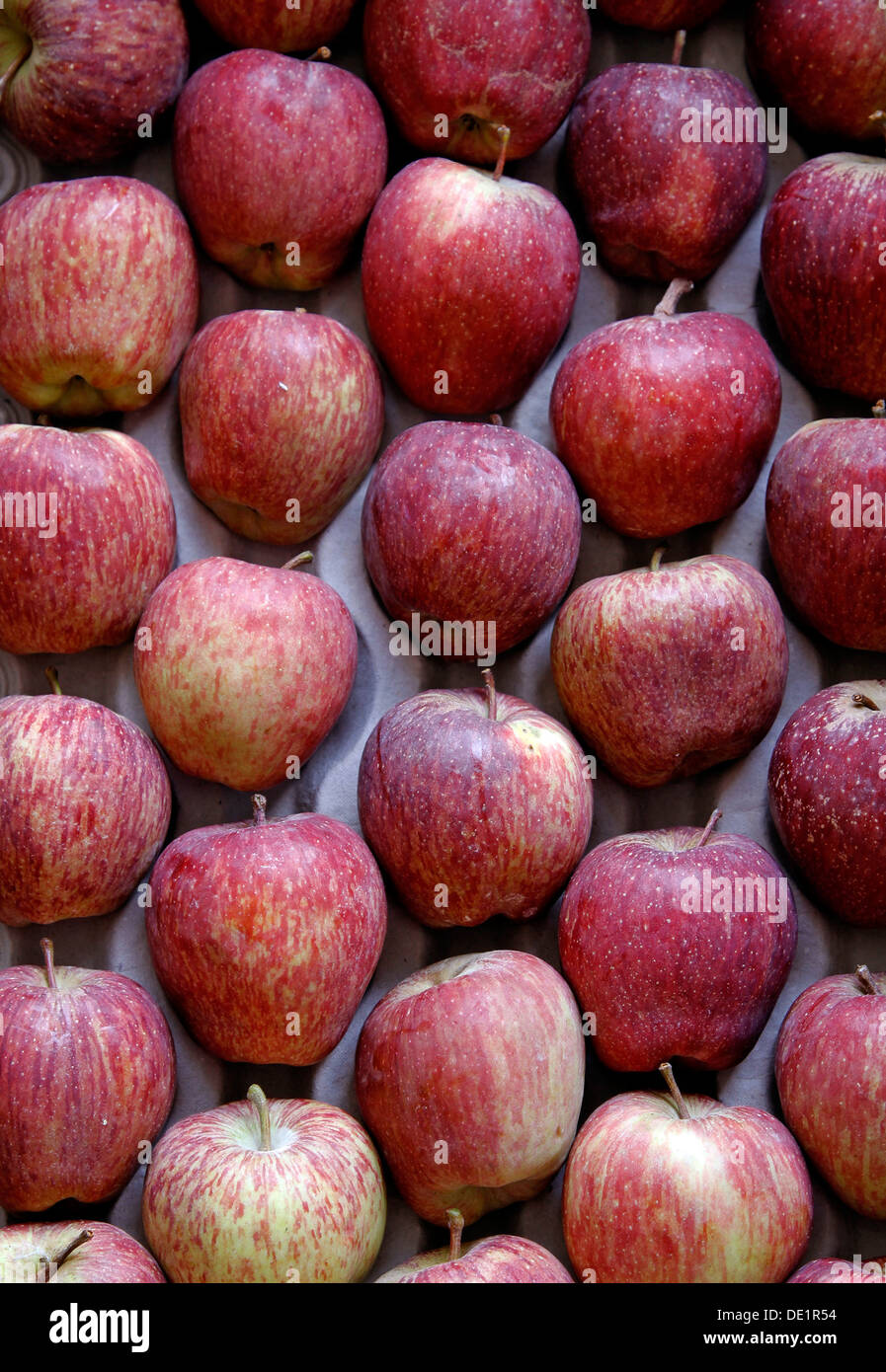 Apple,Fruit,India Stock Photo Alamy