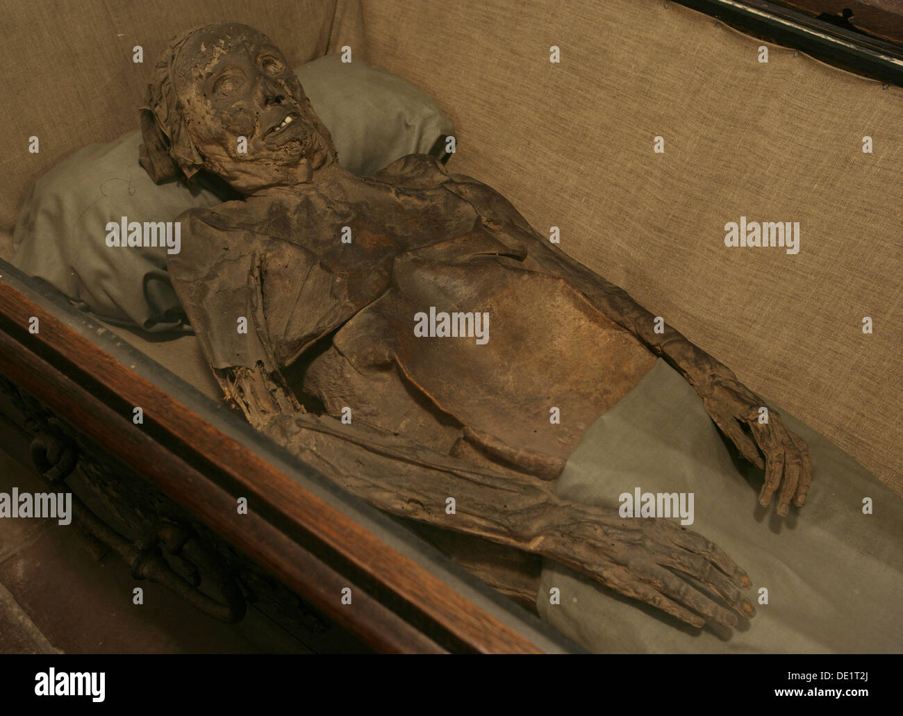 (dpa FILE) - An archive picture, dated 10 April 2006, shows the mummified remains Maria of Engelbrechten, nee Mevius, the wife of chancellor of the former duchies of Bremen-Verden, G. B. of Engelbrechten,  in a wooden coffin in the so-called 'Bleikeller', underground crypt, in the basement of the Saint Petri Cathedral in Bremen, Germany. Maria of Engelbrechten died on 23 November 1734. The statue to the left represents the evangelist Luke and was crafted by German sculptor Dietrich Kropp in 1862. Despite the eery atomsphere, a tour through the crypt offers visitors an opportunity to reflect on Stock Photo