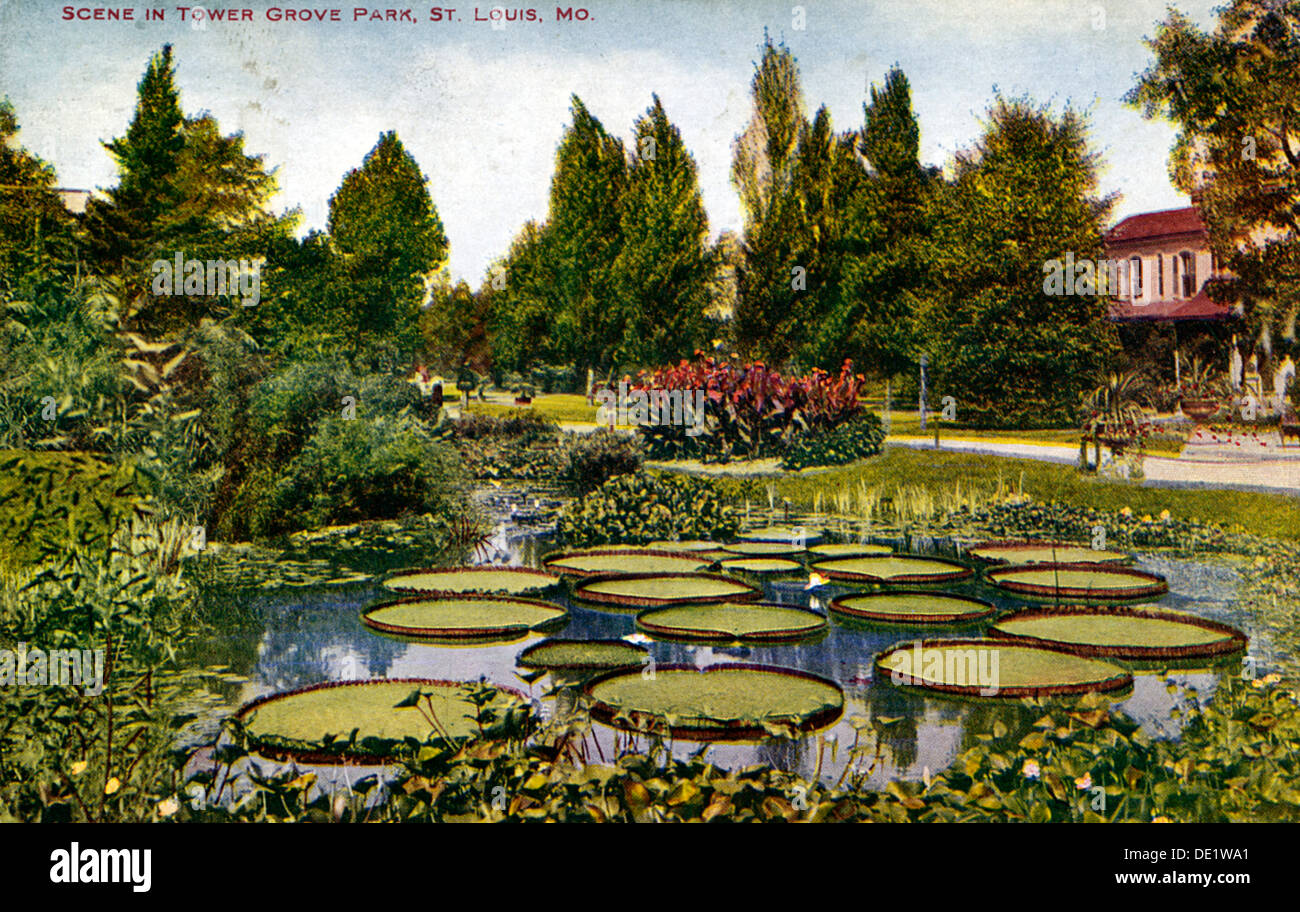 Scene in Tower Grove Park, St Louis, Missouri, USA, 1908. Artist: Unknown Stock Photo