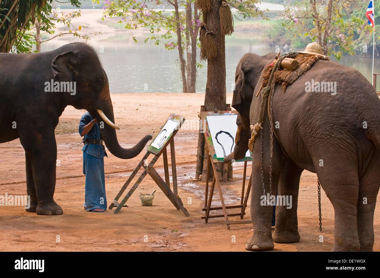 Thailand Elephants Painting High Resolution Stock Photography and