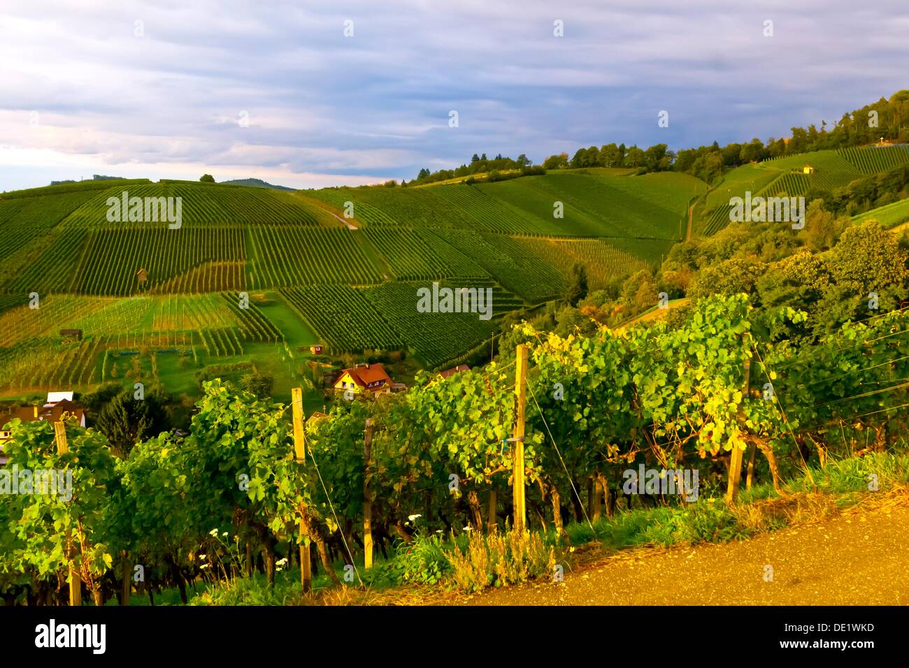Offenburg High Resolution Stock Photography and Images - Alamy